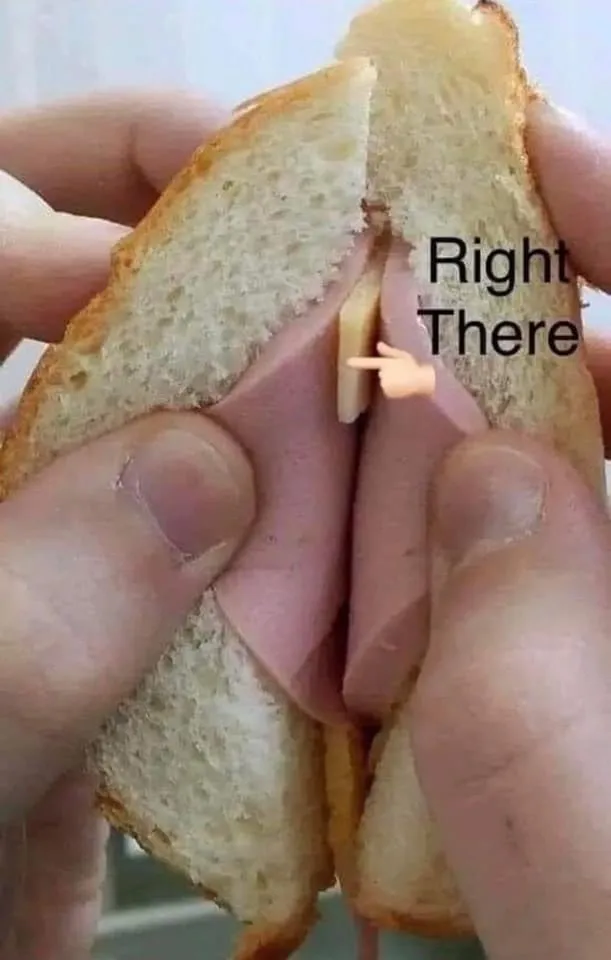 Sharon OnlyFans header