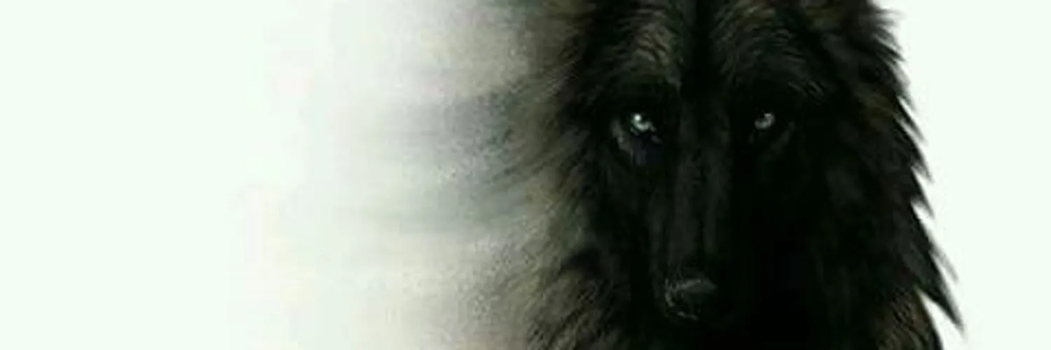 Fluffy OnlyFans header