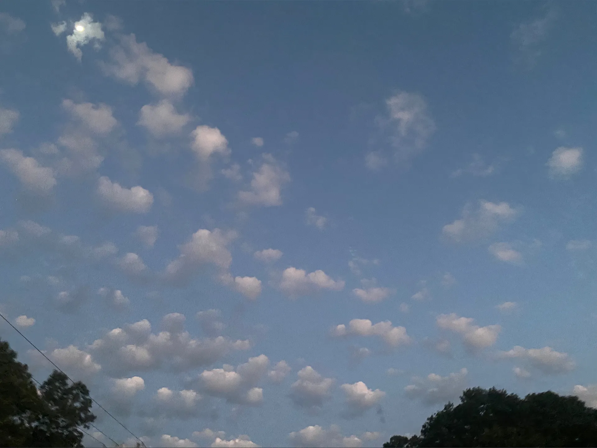 bigsloppers OnlyFans header