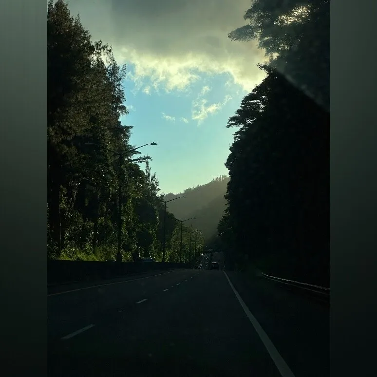 bigsmallpanda OnlyFans header