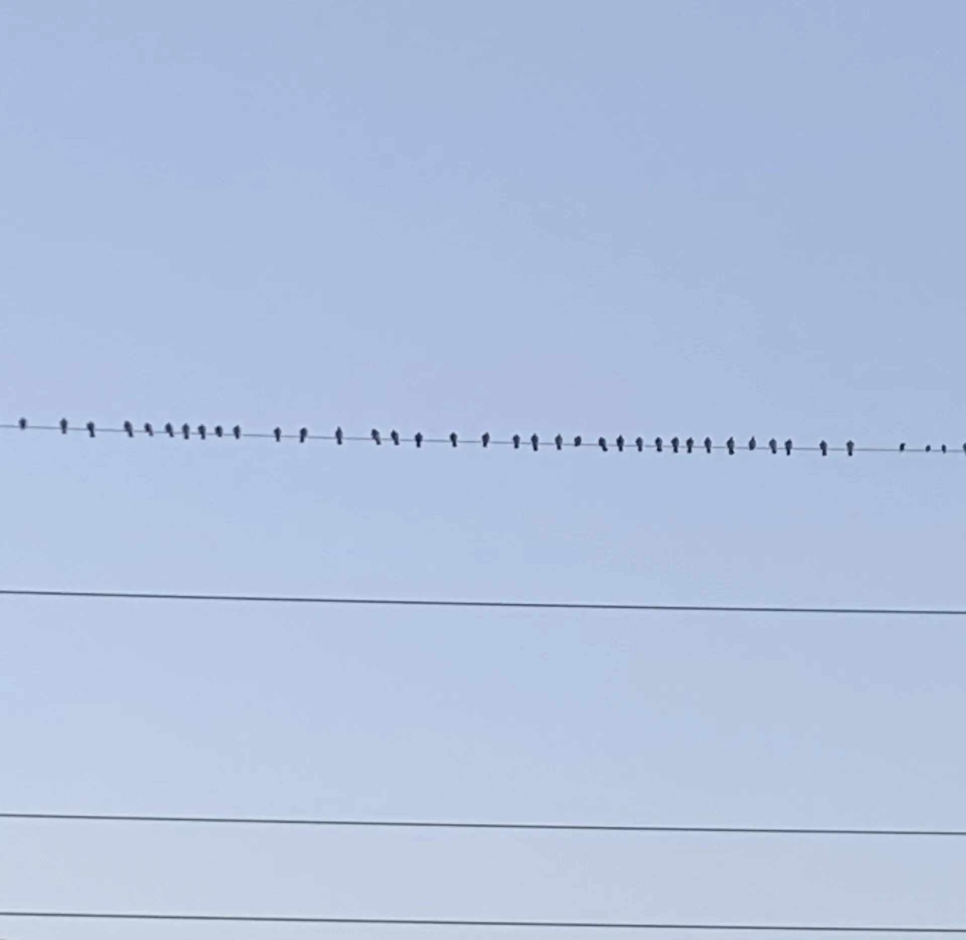 BigStaXXX92 OnlyFans header