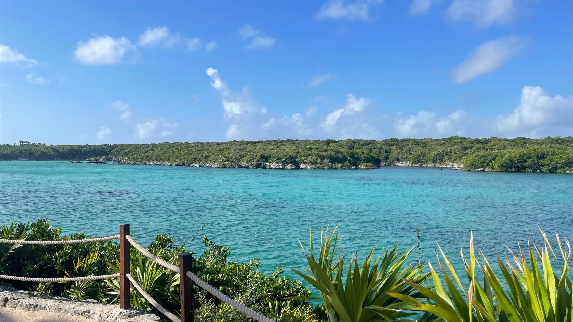 BigTeenBoy OnlyFans header