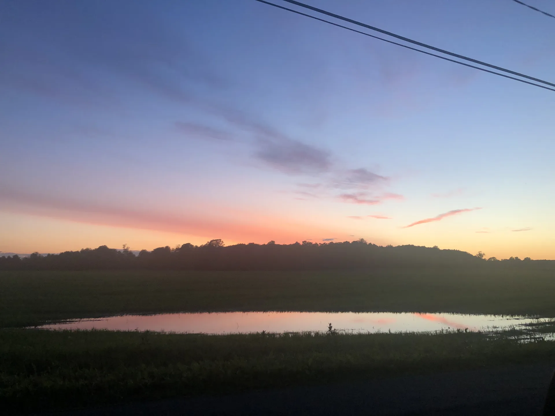 cici OnlyFans header