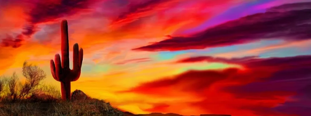 Ari Luxx OnlyFans header