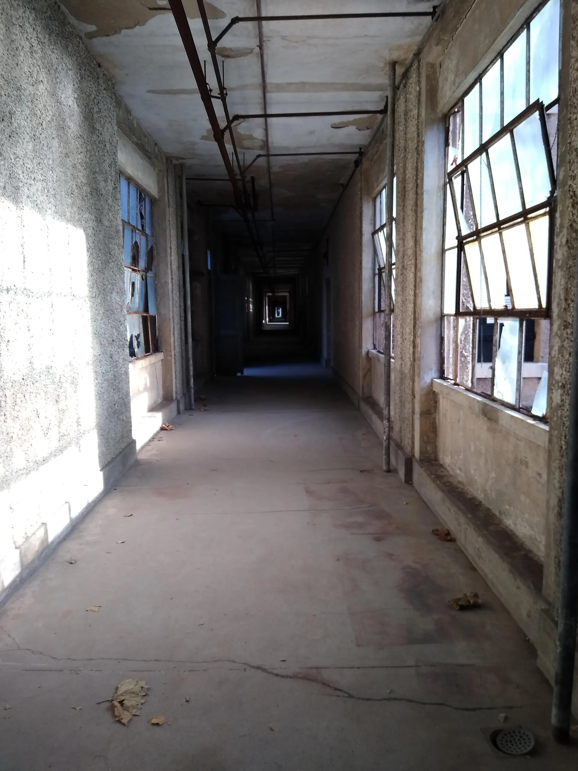 Steven OnlyFans header