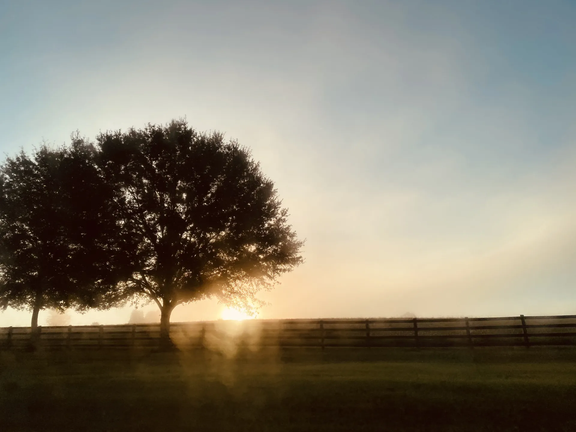 Lola Raccoon OnlyFans header