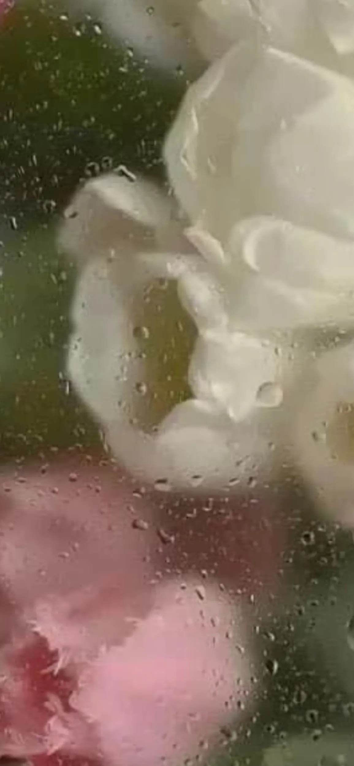 Secret boobs OnlyFans header