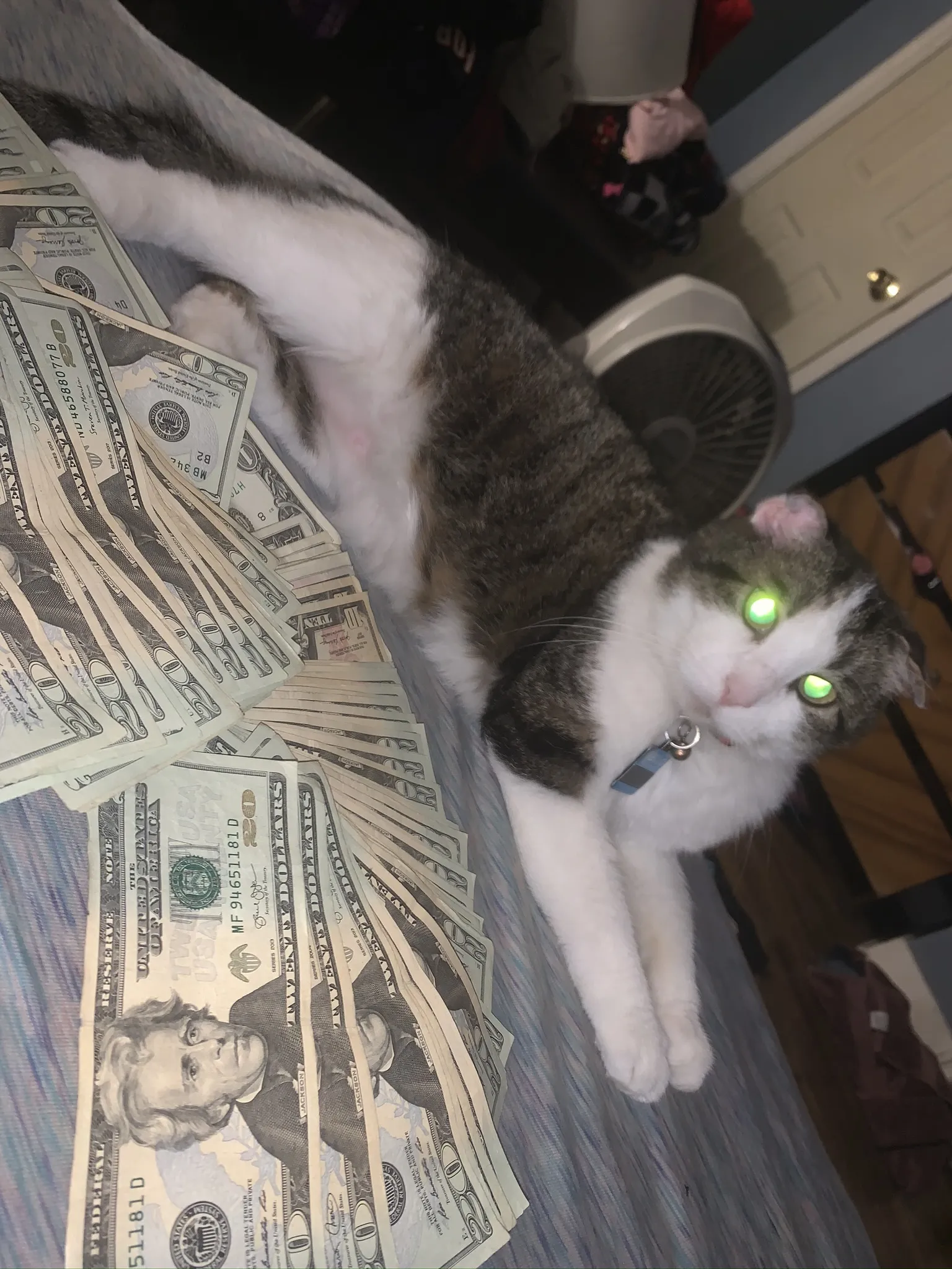 Simone OnlyFans header