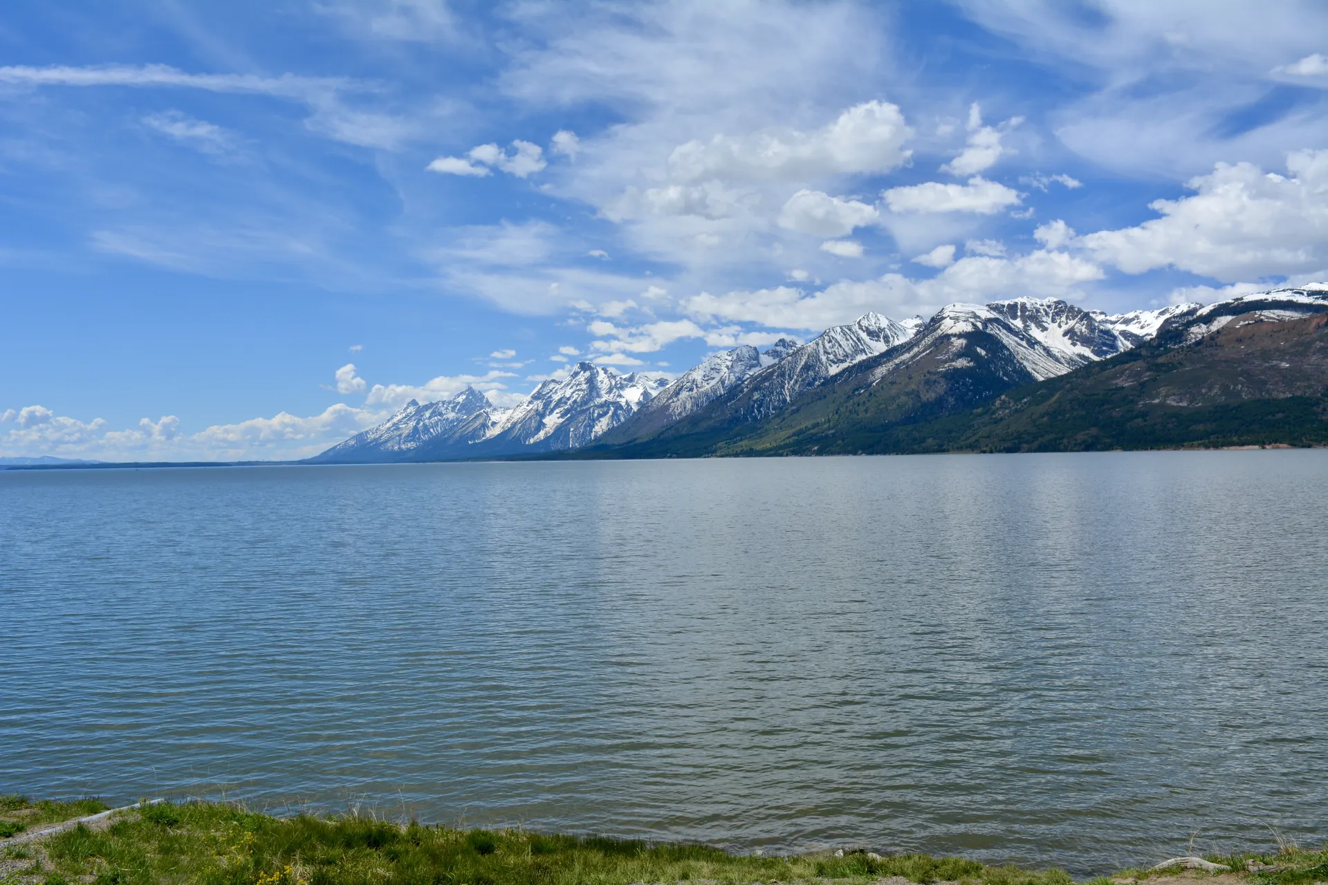 Lexee 🍋 OnlyFans header