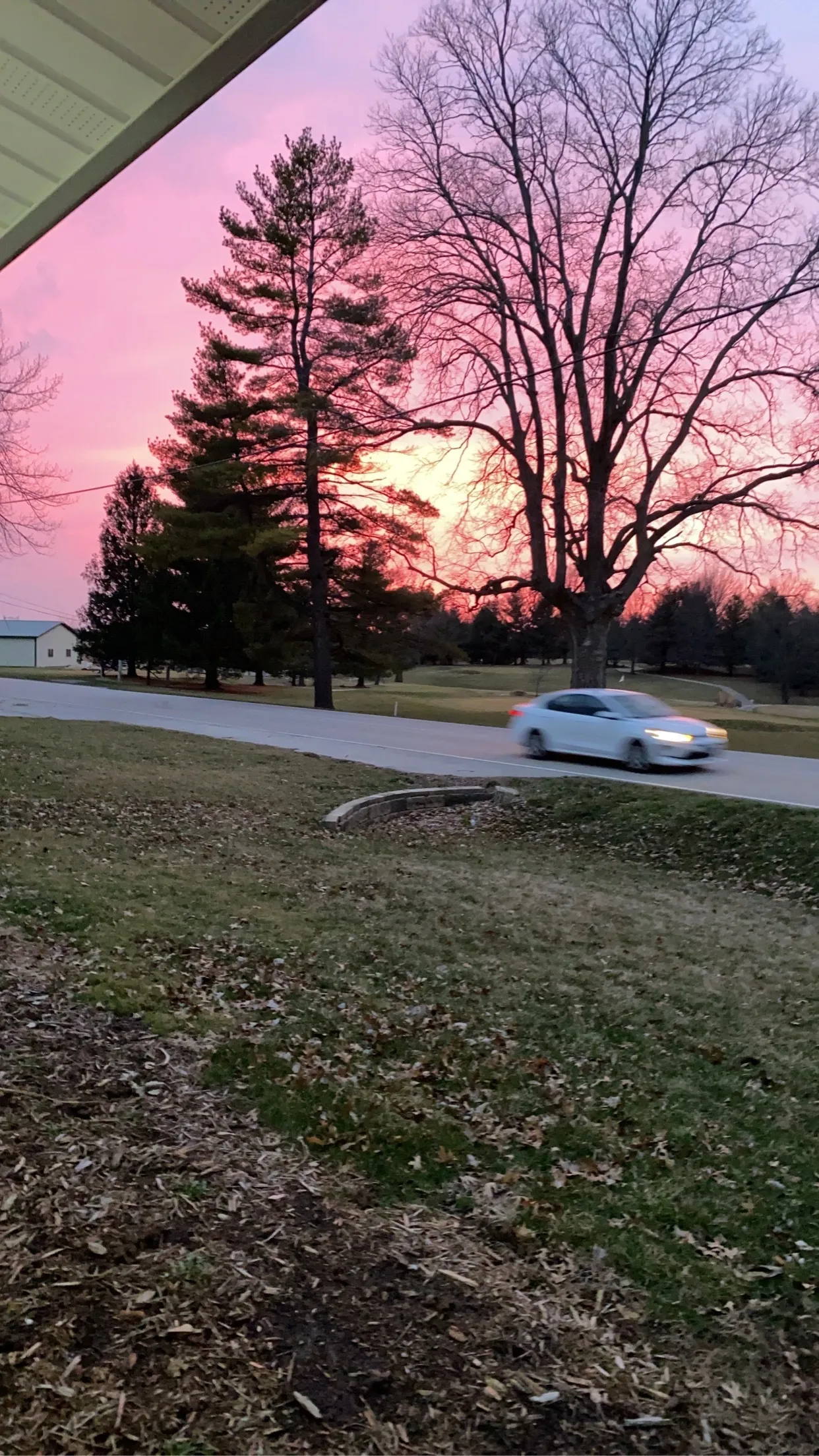 Makala rice OnlyFans header