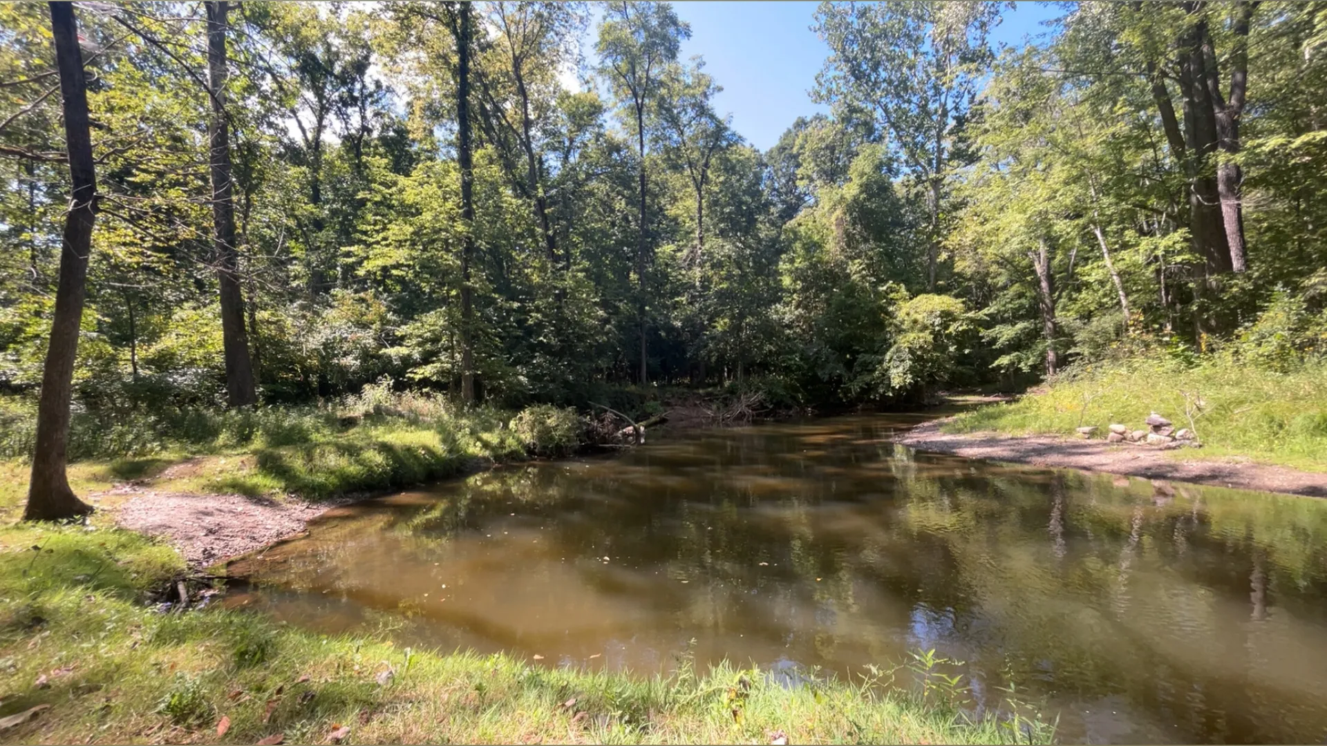 Bear OnlyFans header