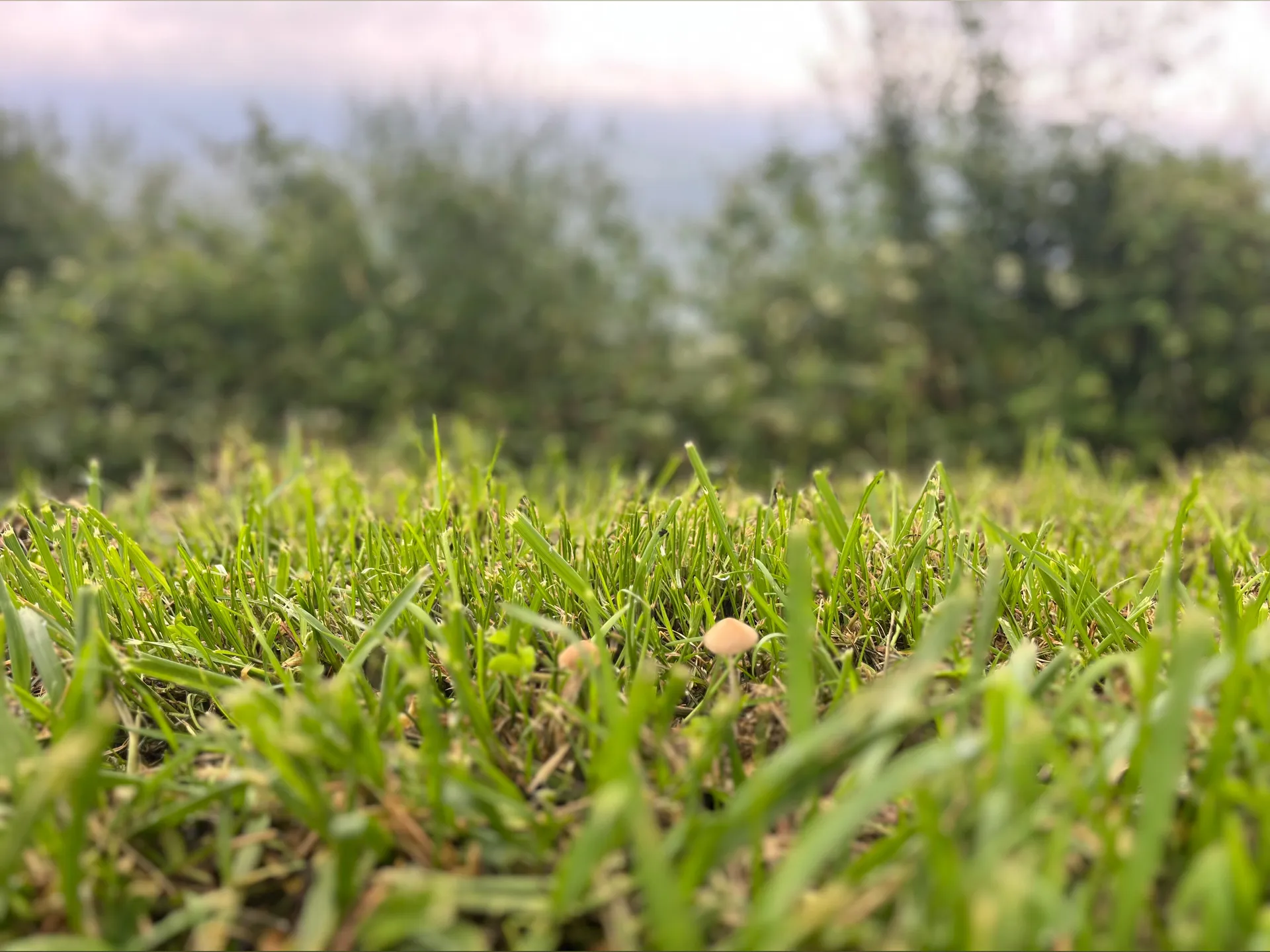 Rowan OnlyFans header