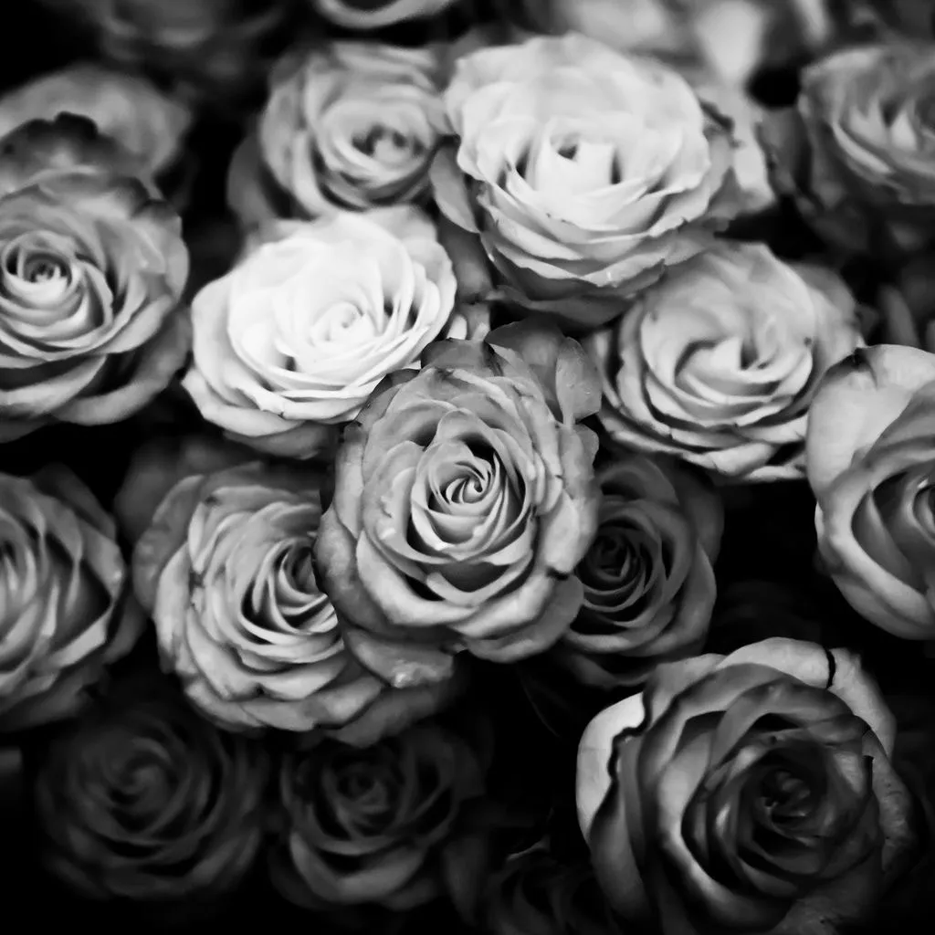 Lilith Rose OnlyFans header