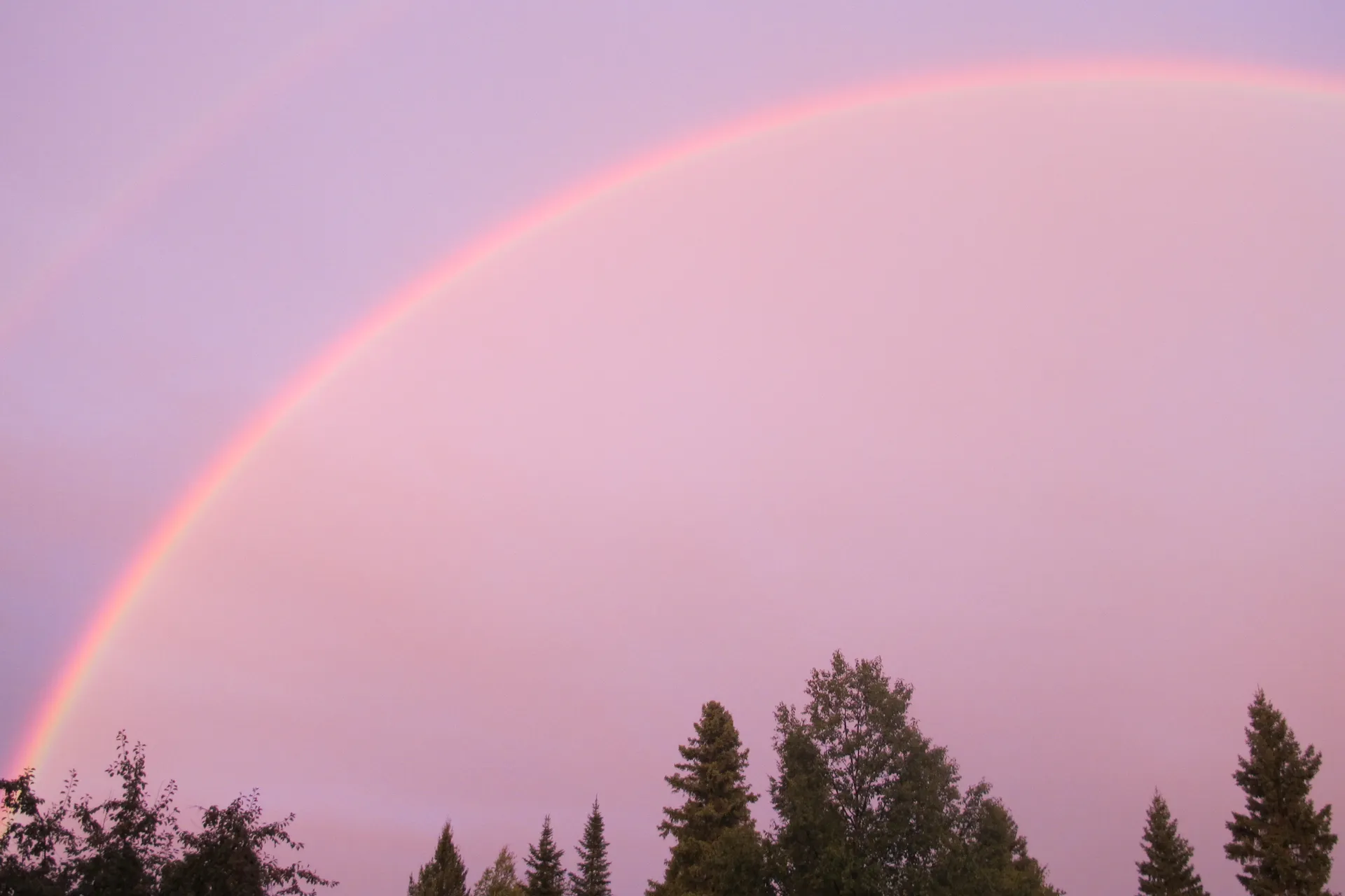 sarah OnlyFans header