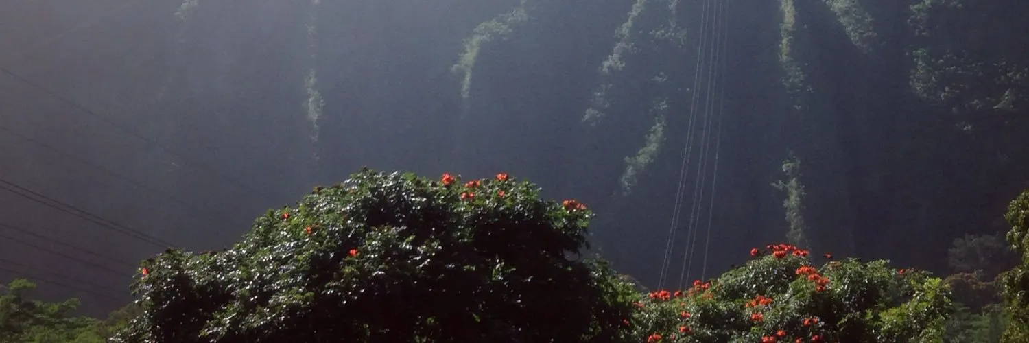 u20017572 OnlyFans header