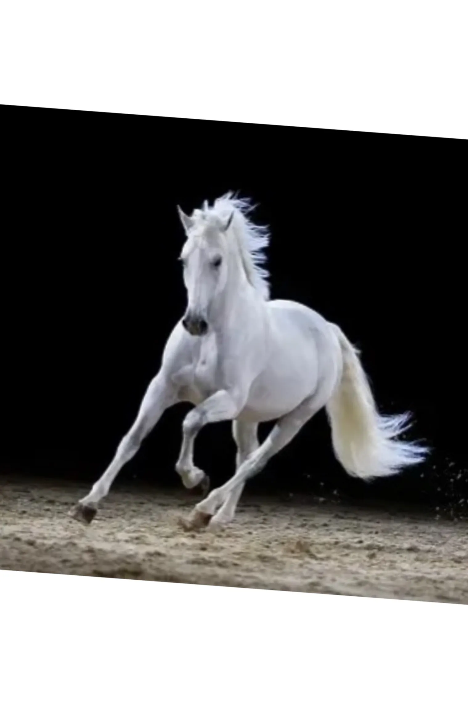 Clara Rider OnlyFans header