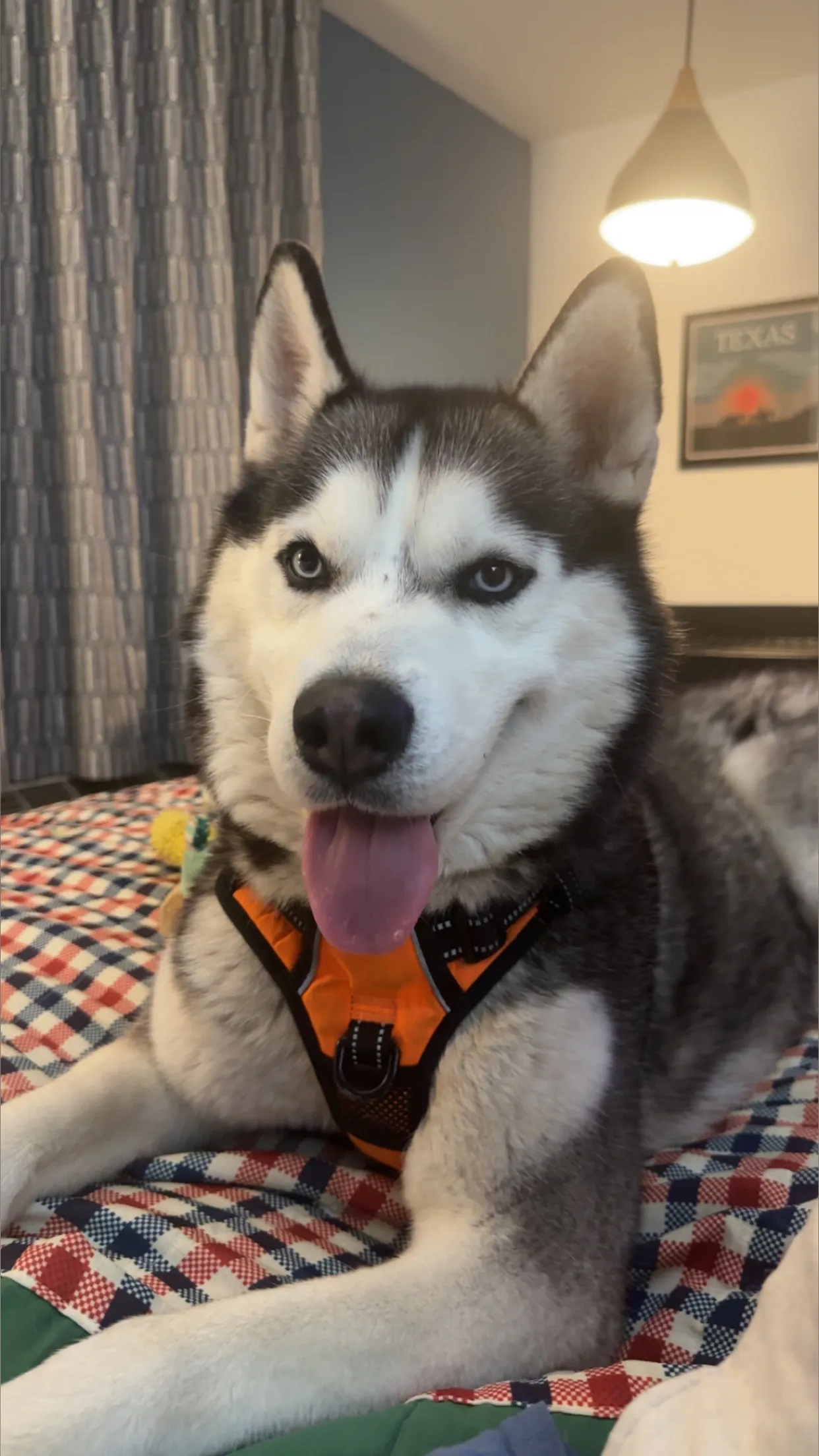 Nicole OnlyFans header