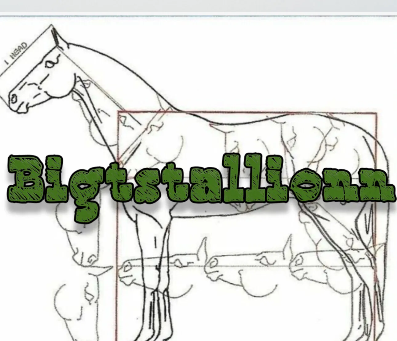 Big T OnlyFans header