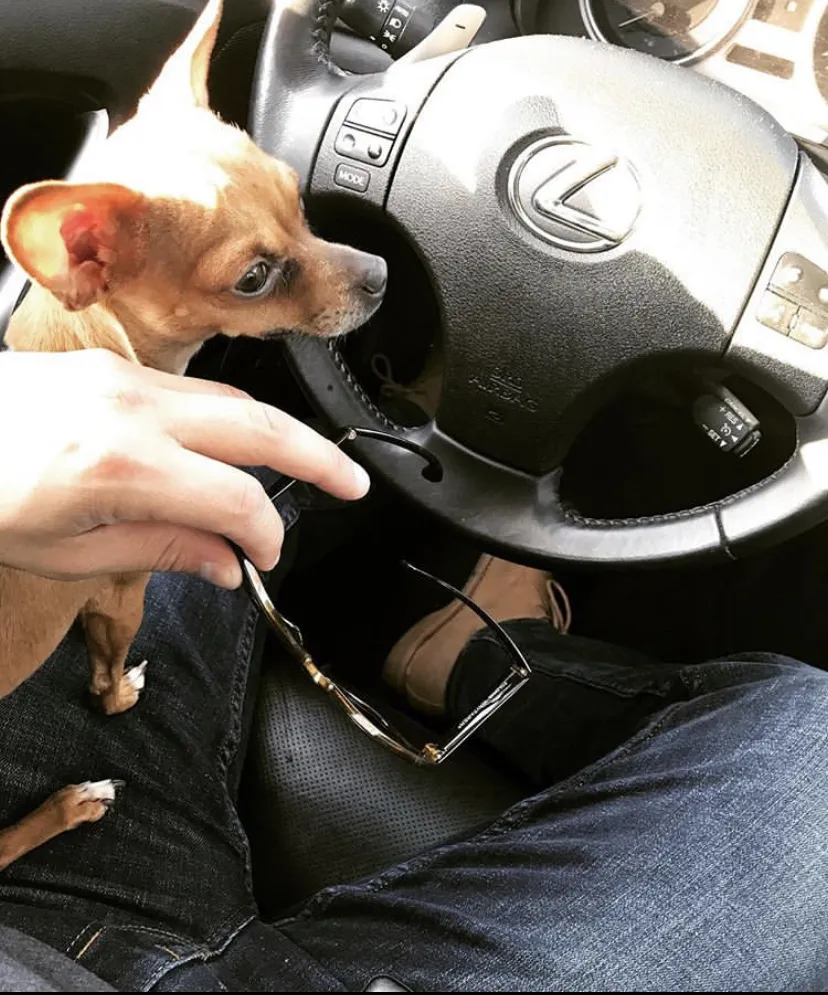 Rafael OnlyFans header