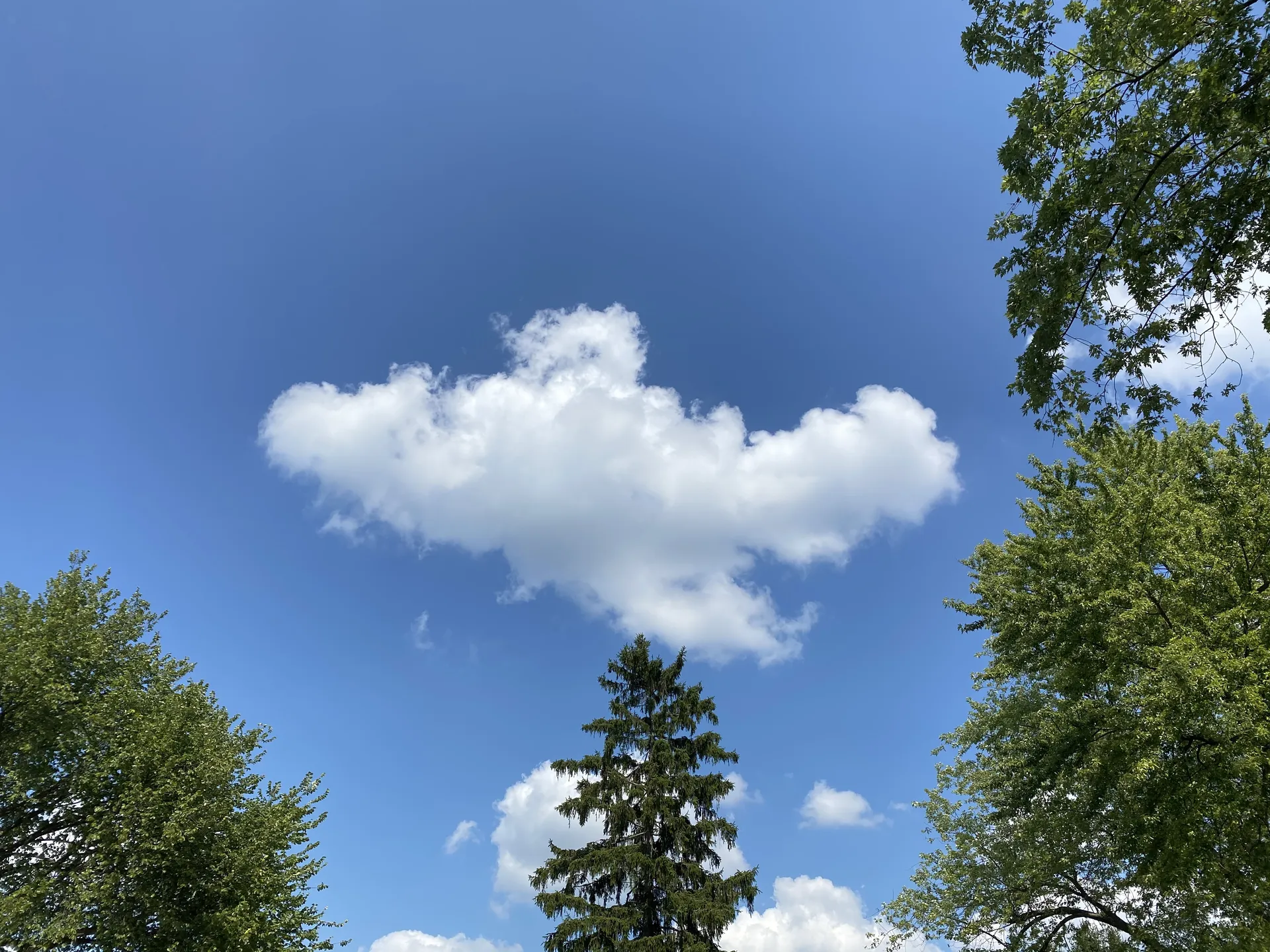 Biguy517 OnlyFans header