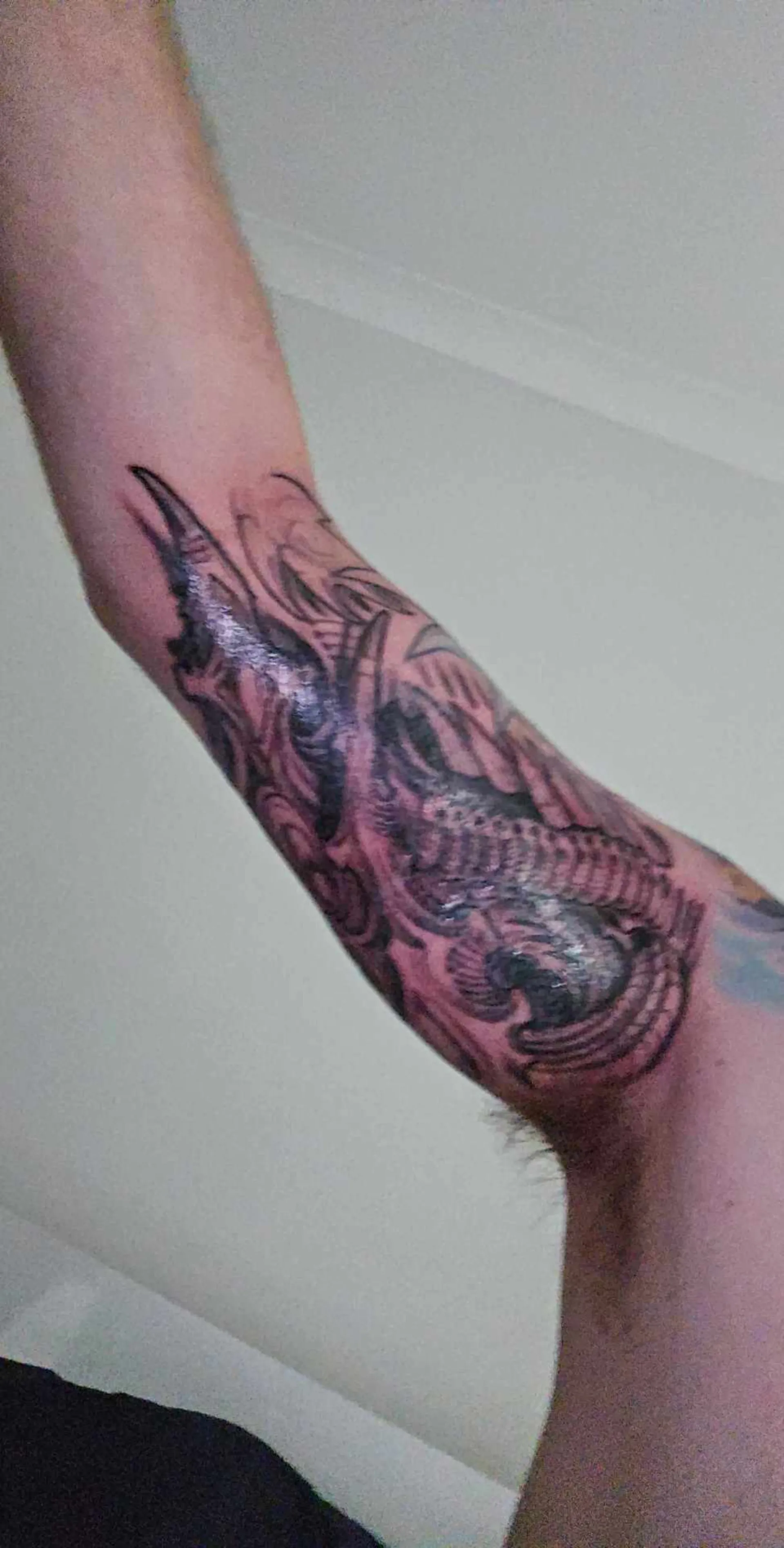 The nude adventure rider OnlyFans header