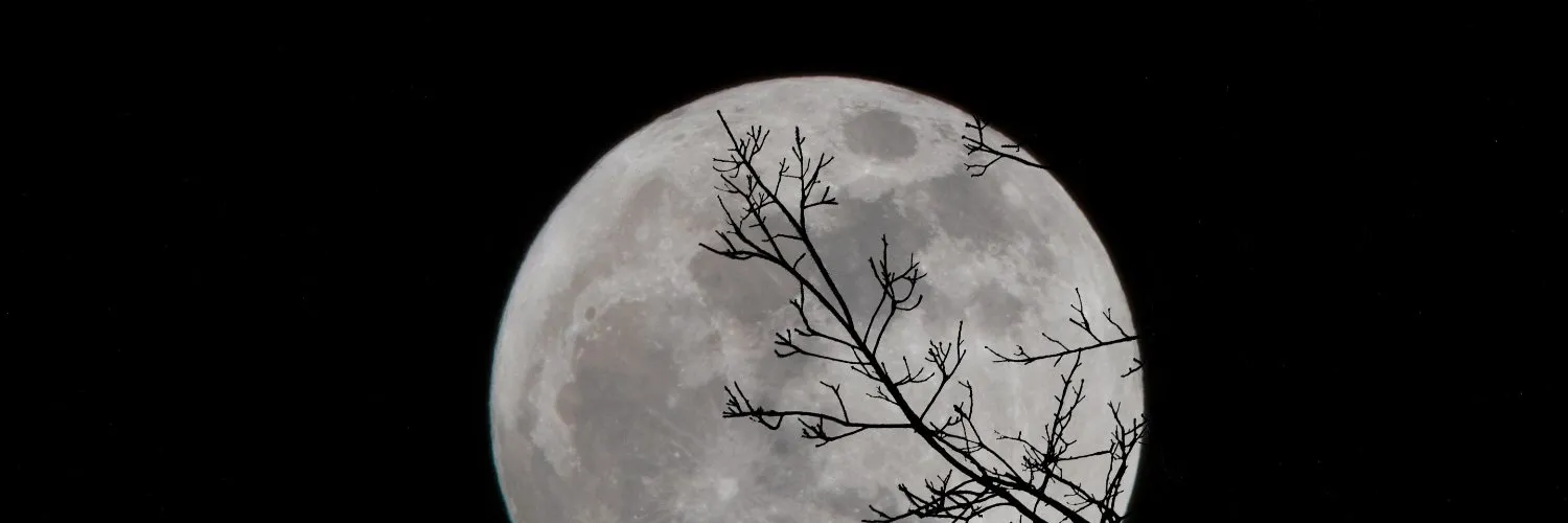 Goth Cutie✨ OnlyFans header