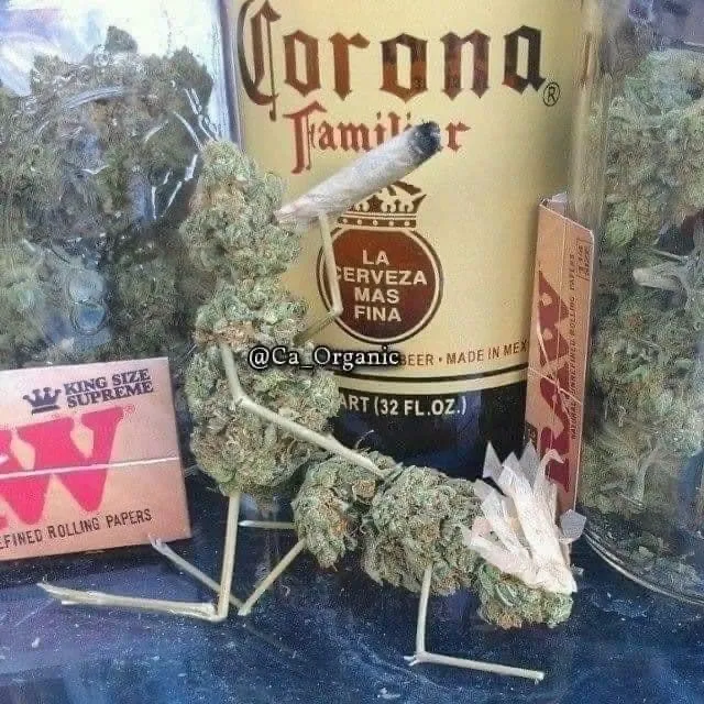 MR 8INNN OnlyFans header