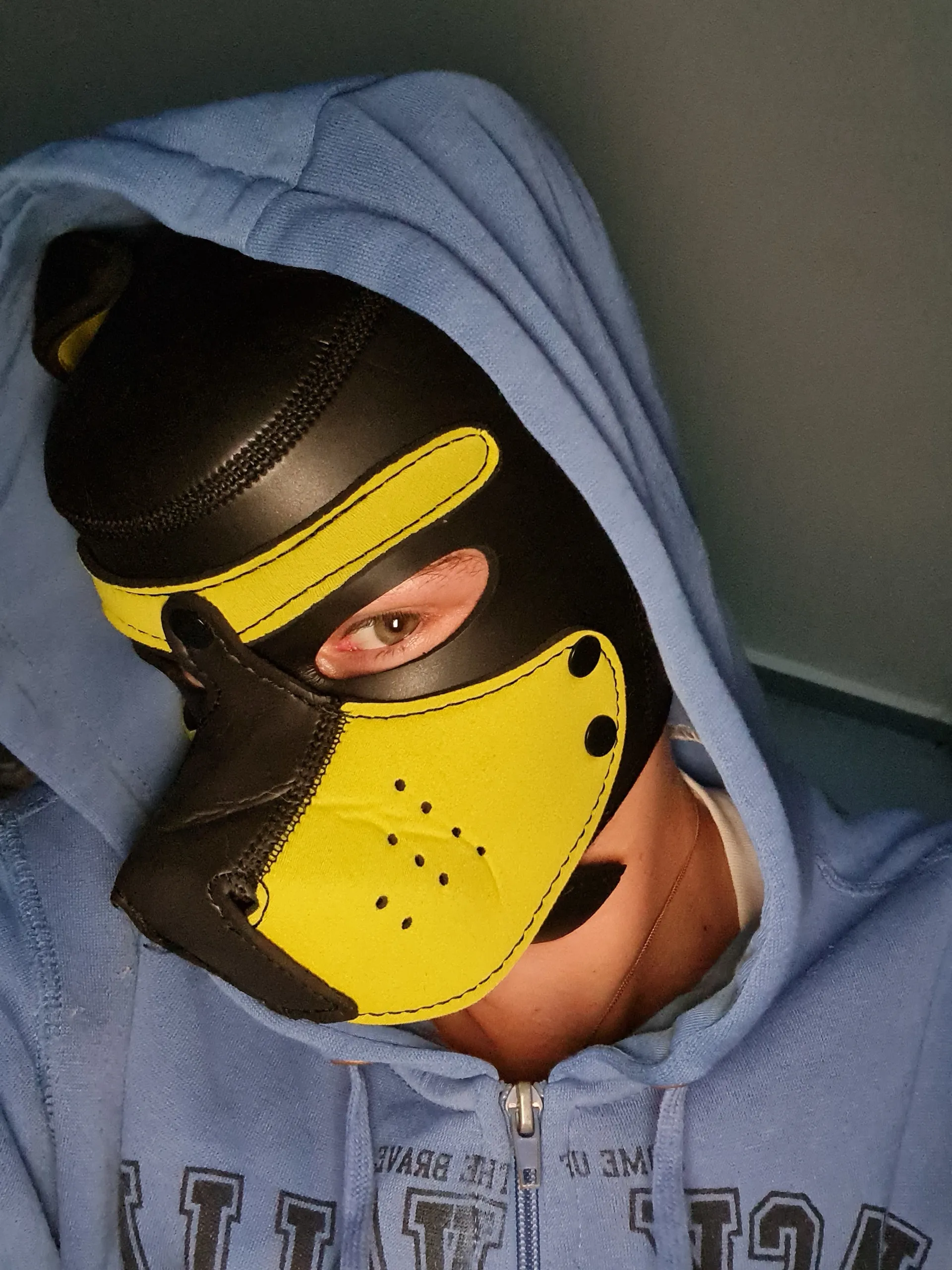 New Pup On The Block OnlyFans header