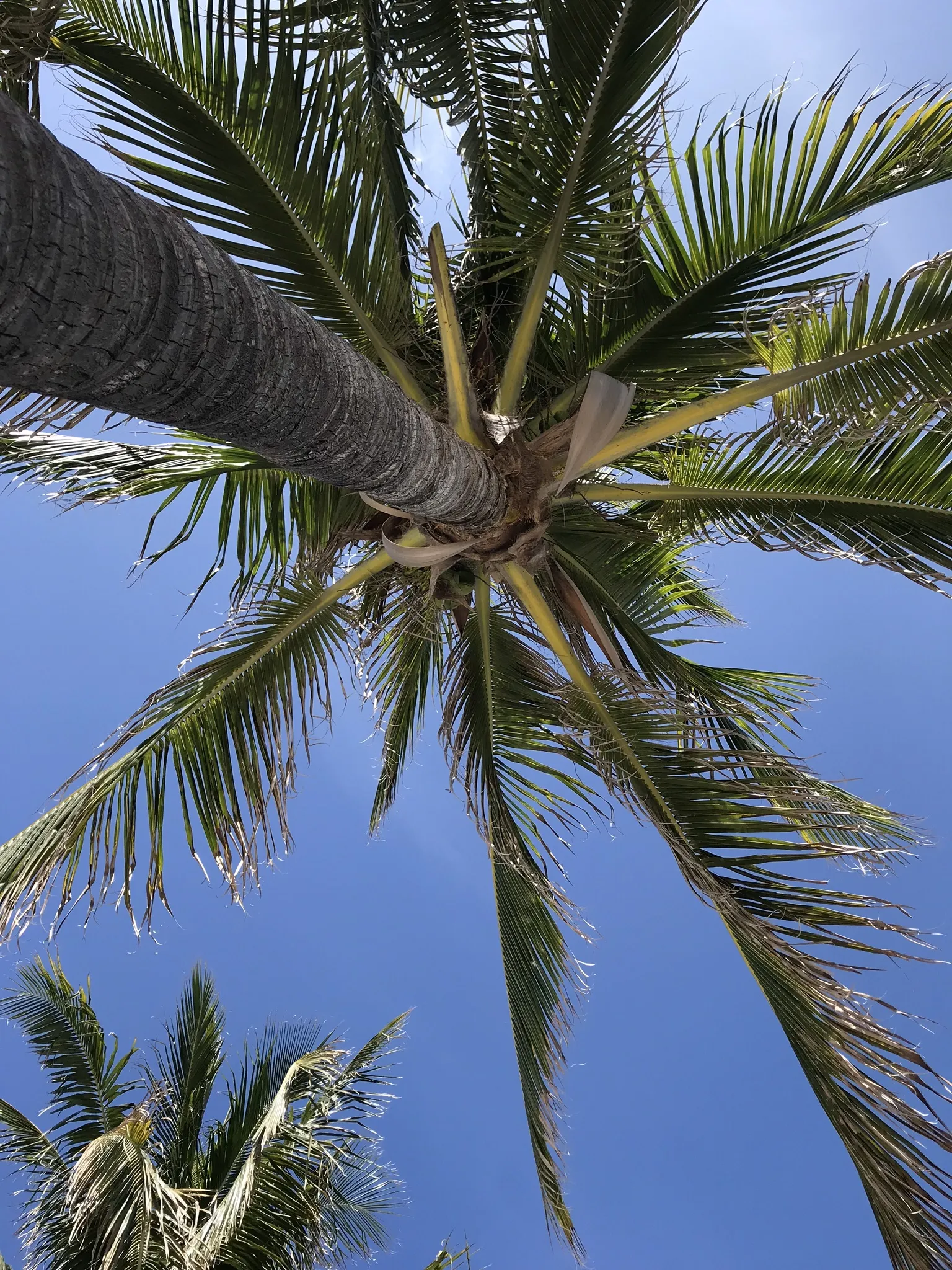 danielle OnlyFans header