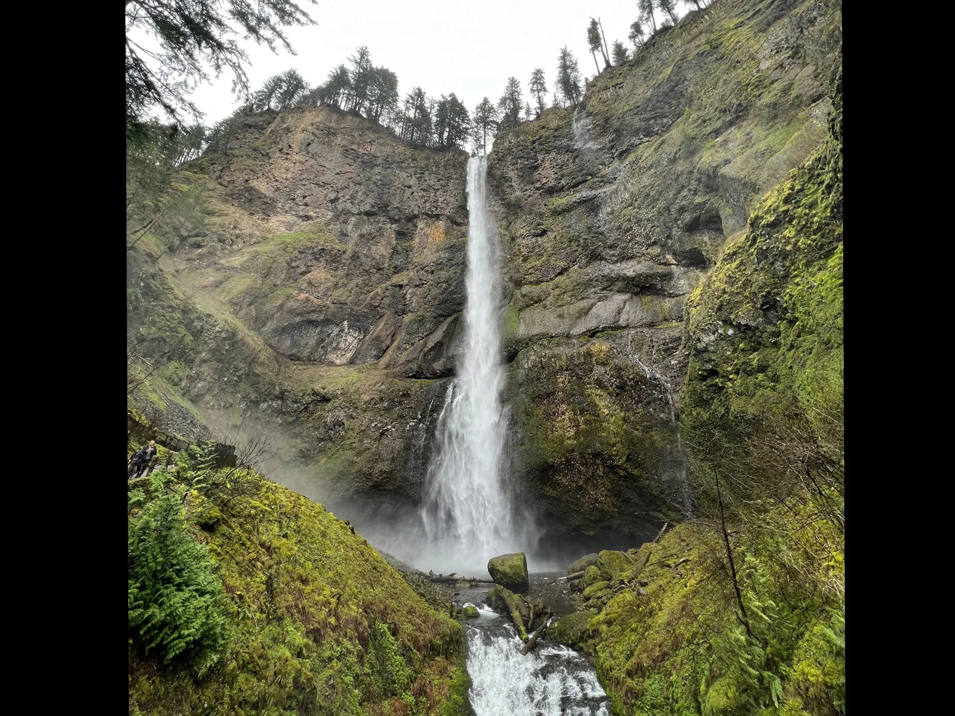 Rosie OnlyFans header