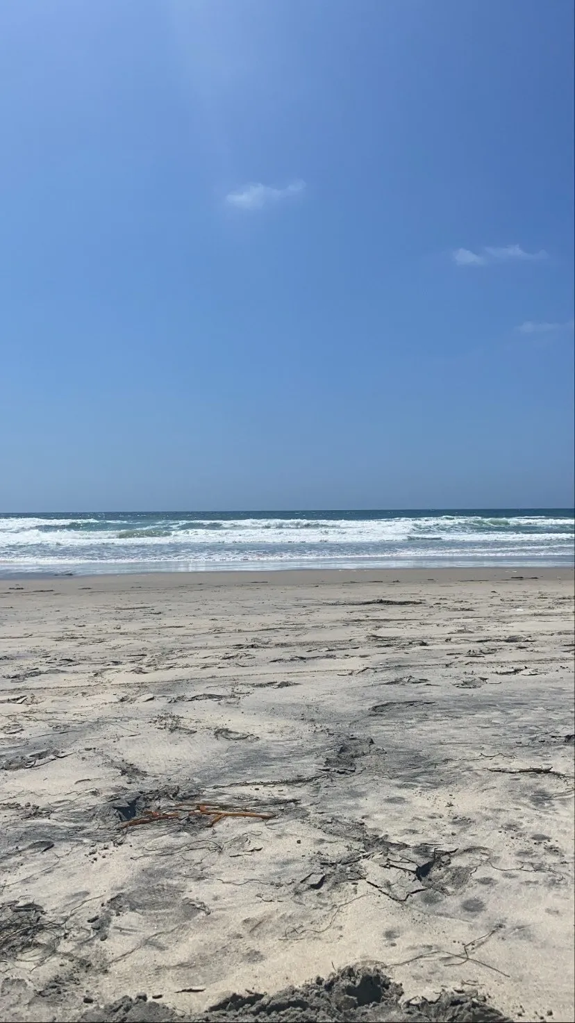 Bull Bro OnlyFans header