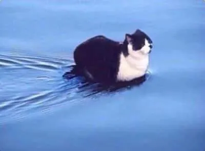 Billy James Sweets OnlyFans header