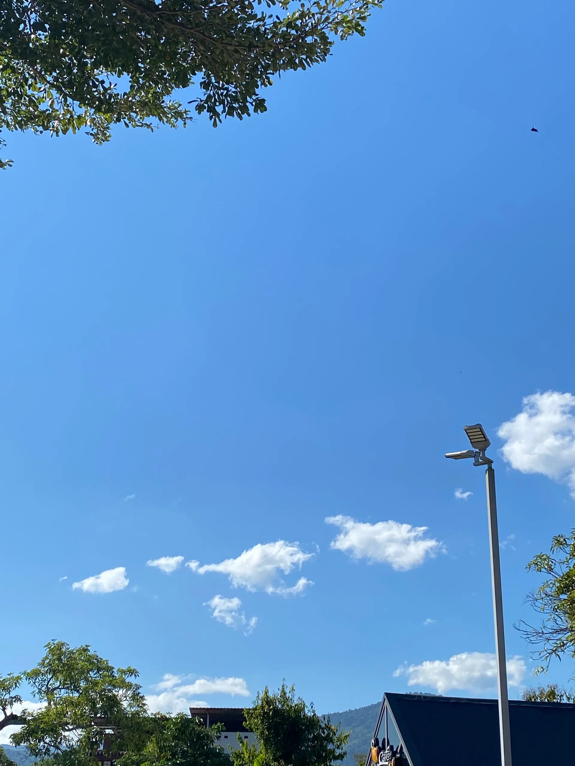 Billie Ackerman OnlyFans header