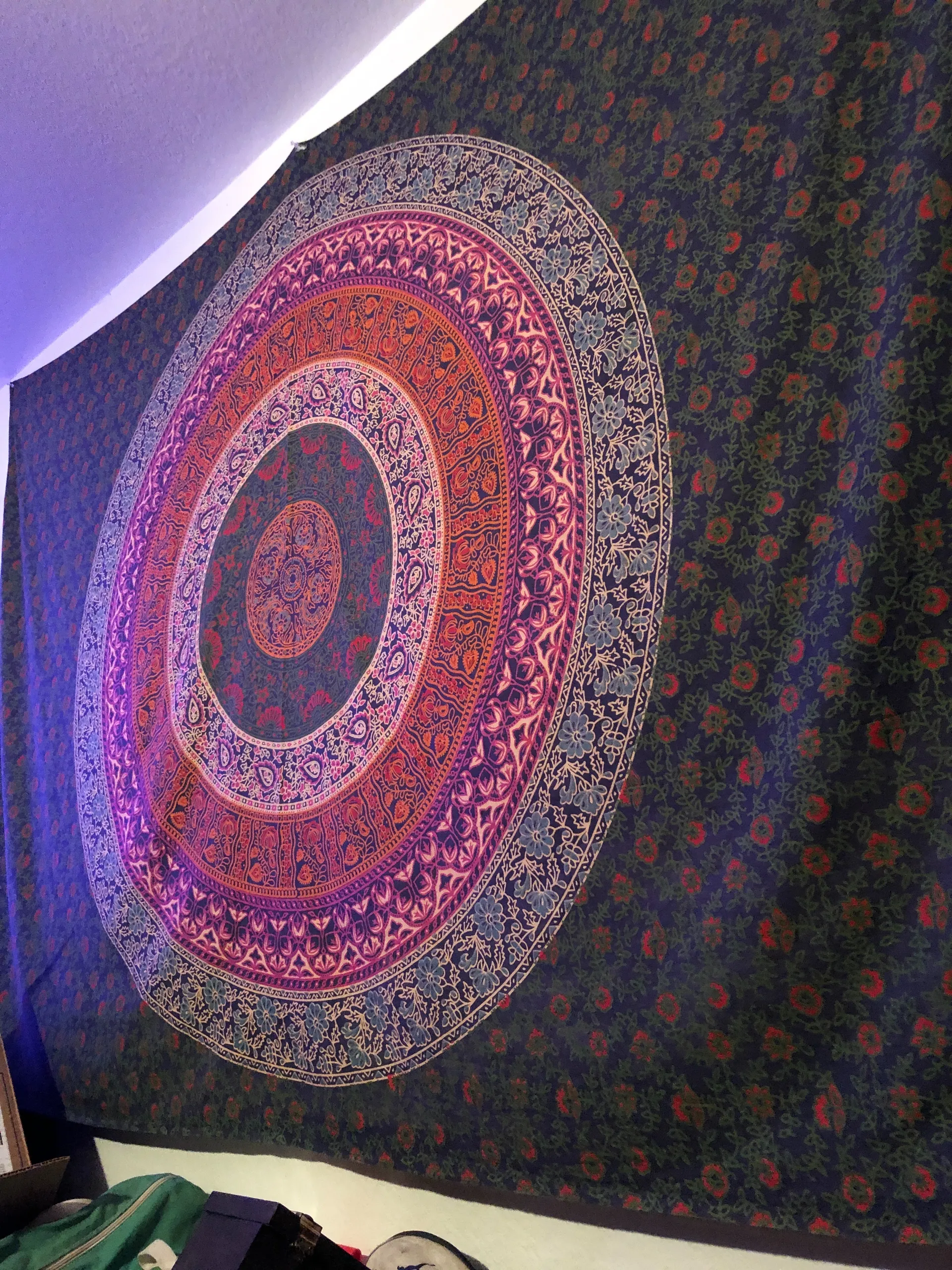 Regan Lynn Billmeier OnlyFans header