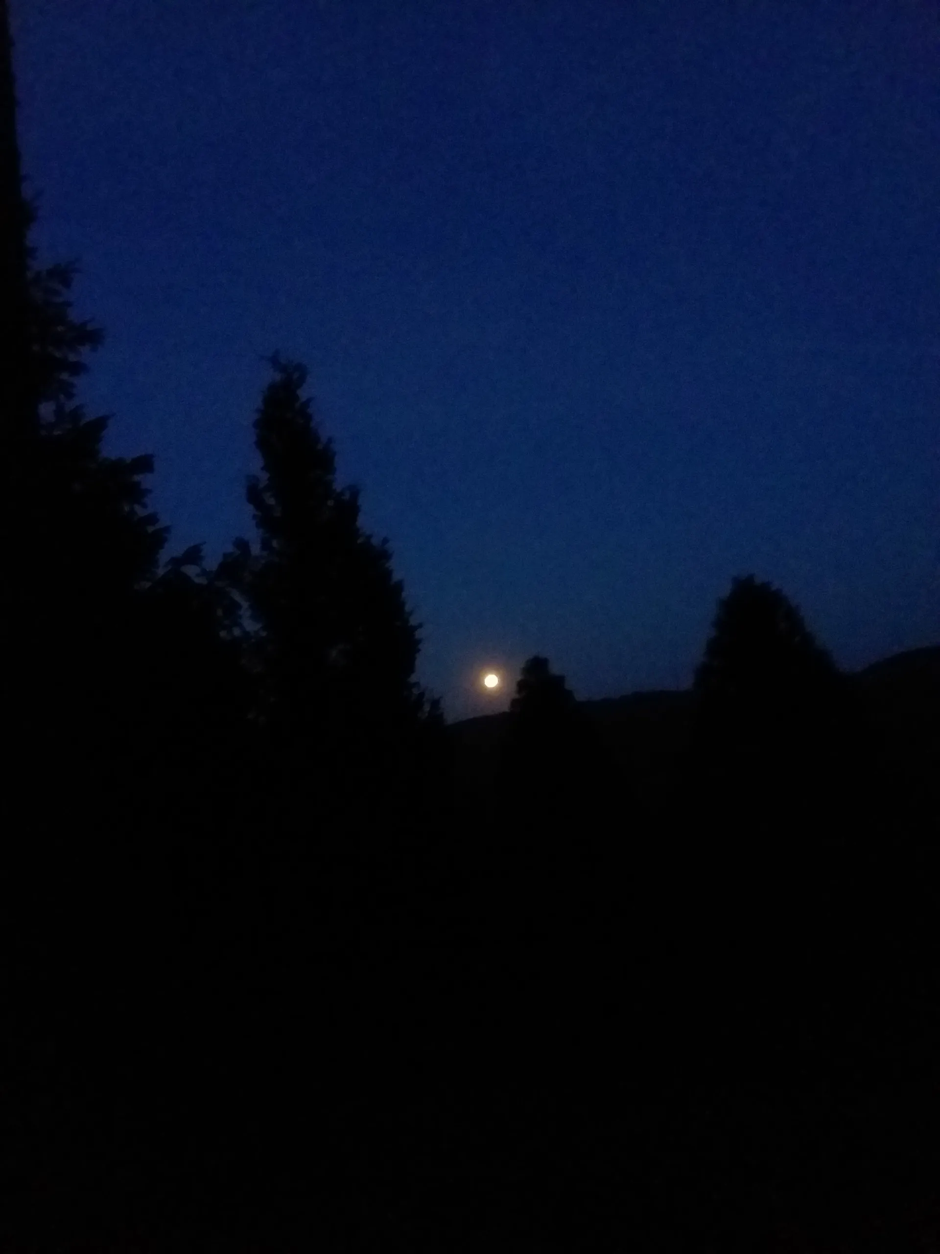 Billyjack OnlyFans header