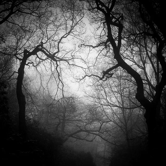 Billysgotink OnlyFans header