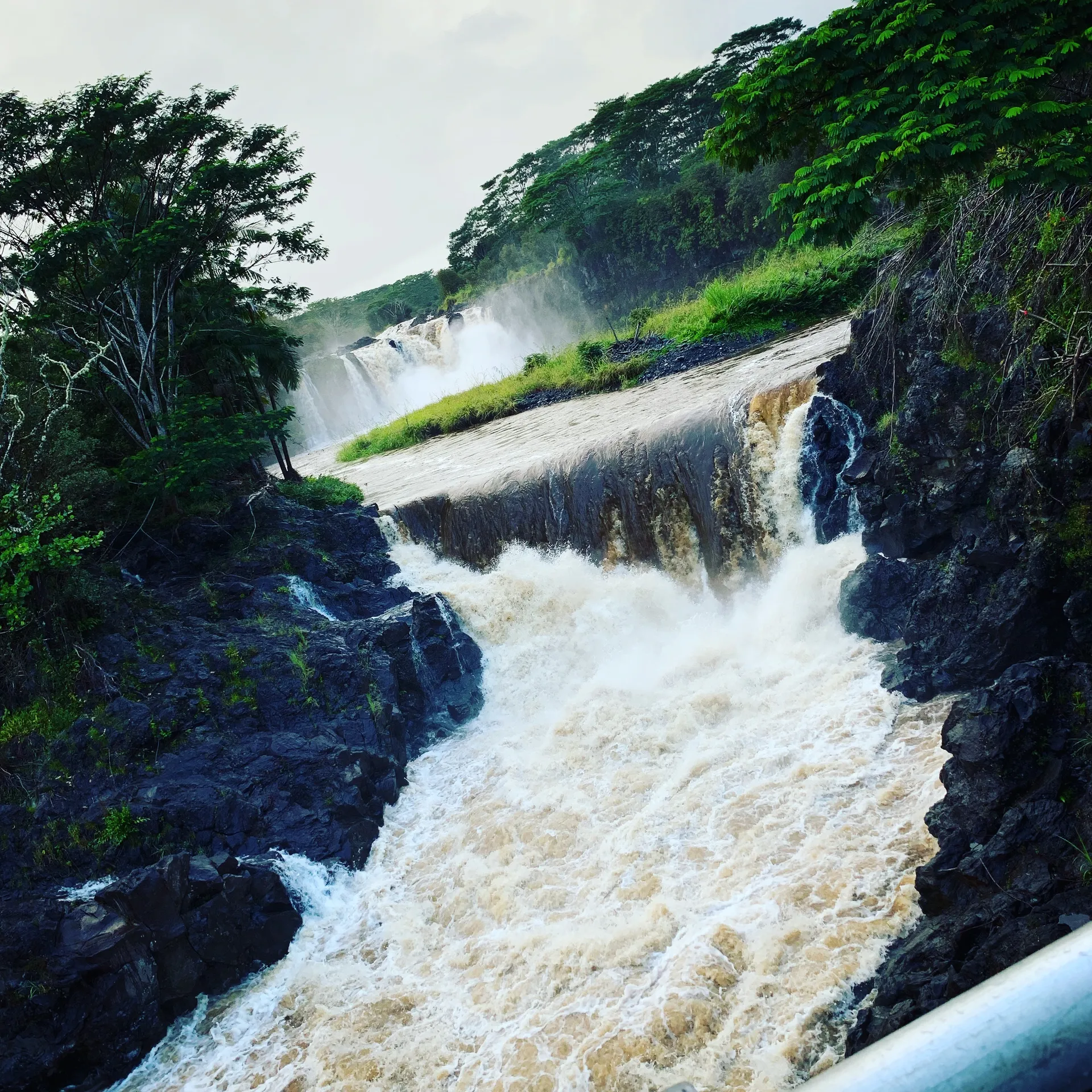 BillyTheKid69 OnlyFans header