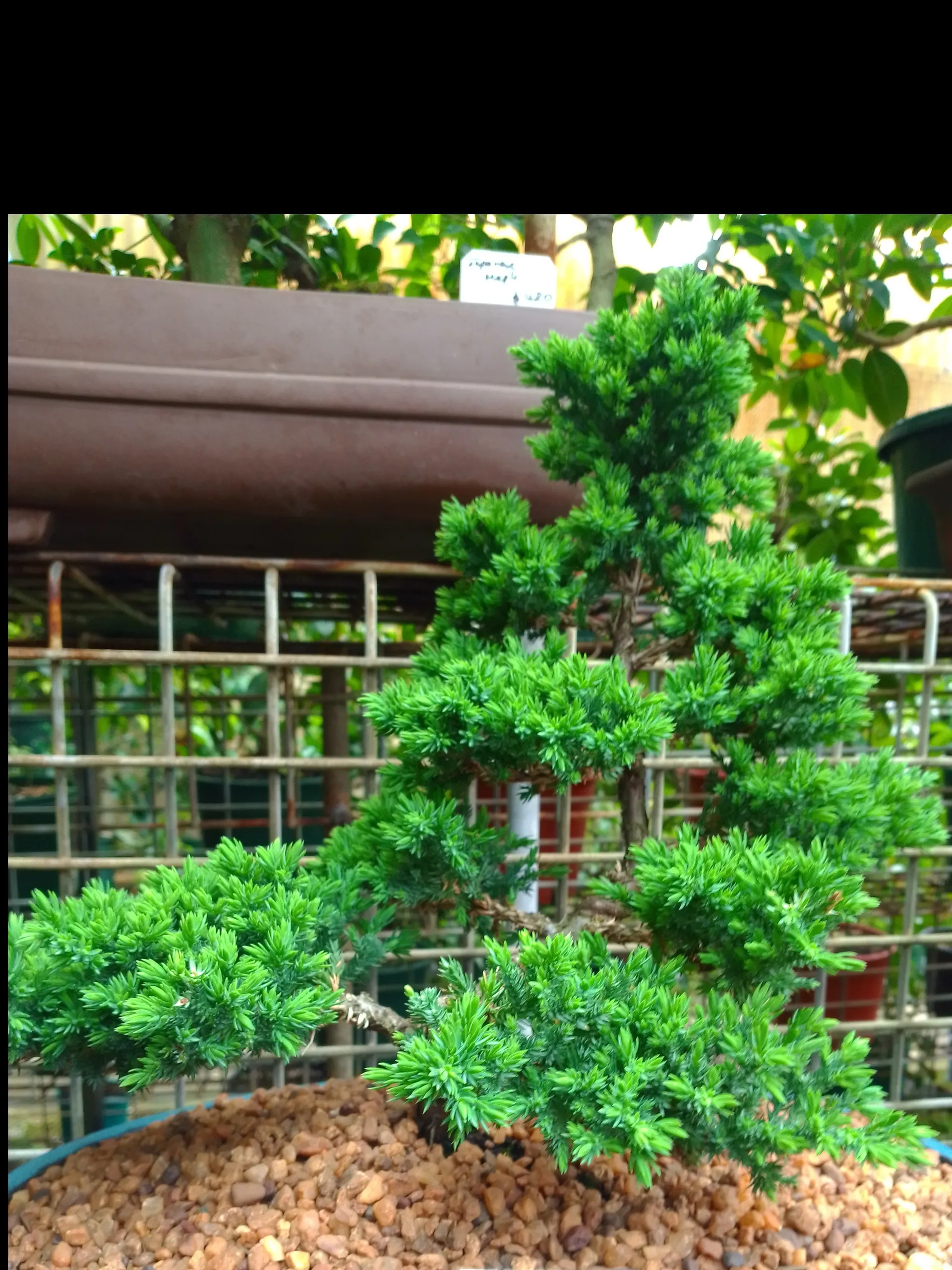 Aussie male for your satisfaction OnlyFans header