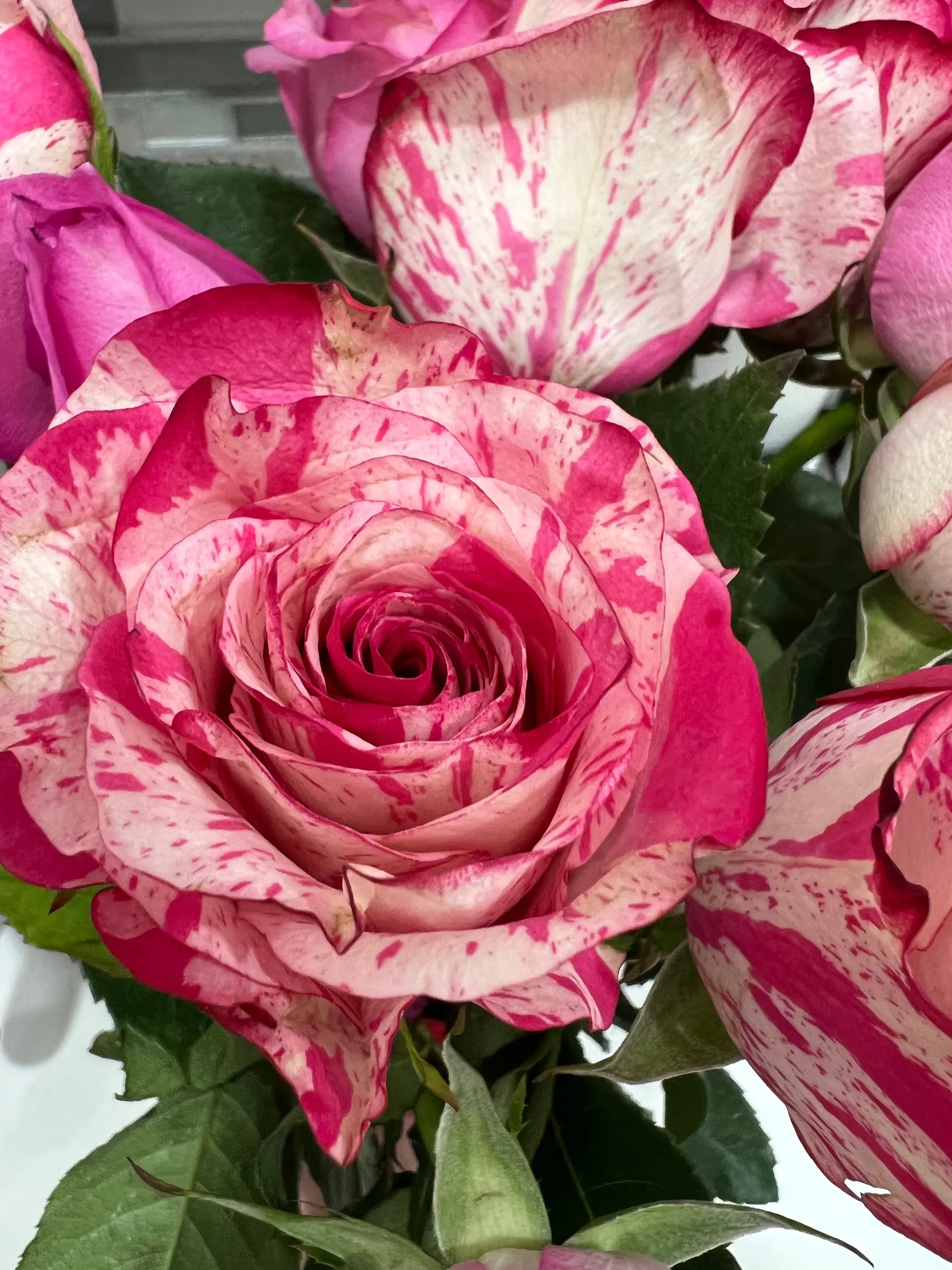 sunday summers 😵‍💫 free page! OnlyFans header