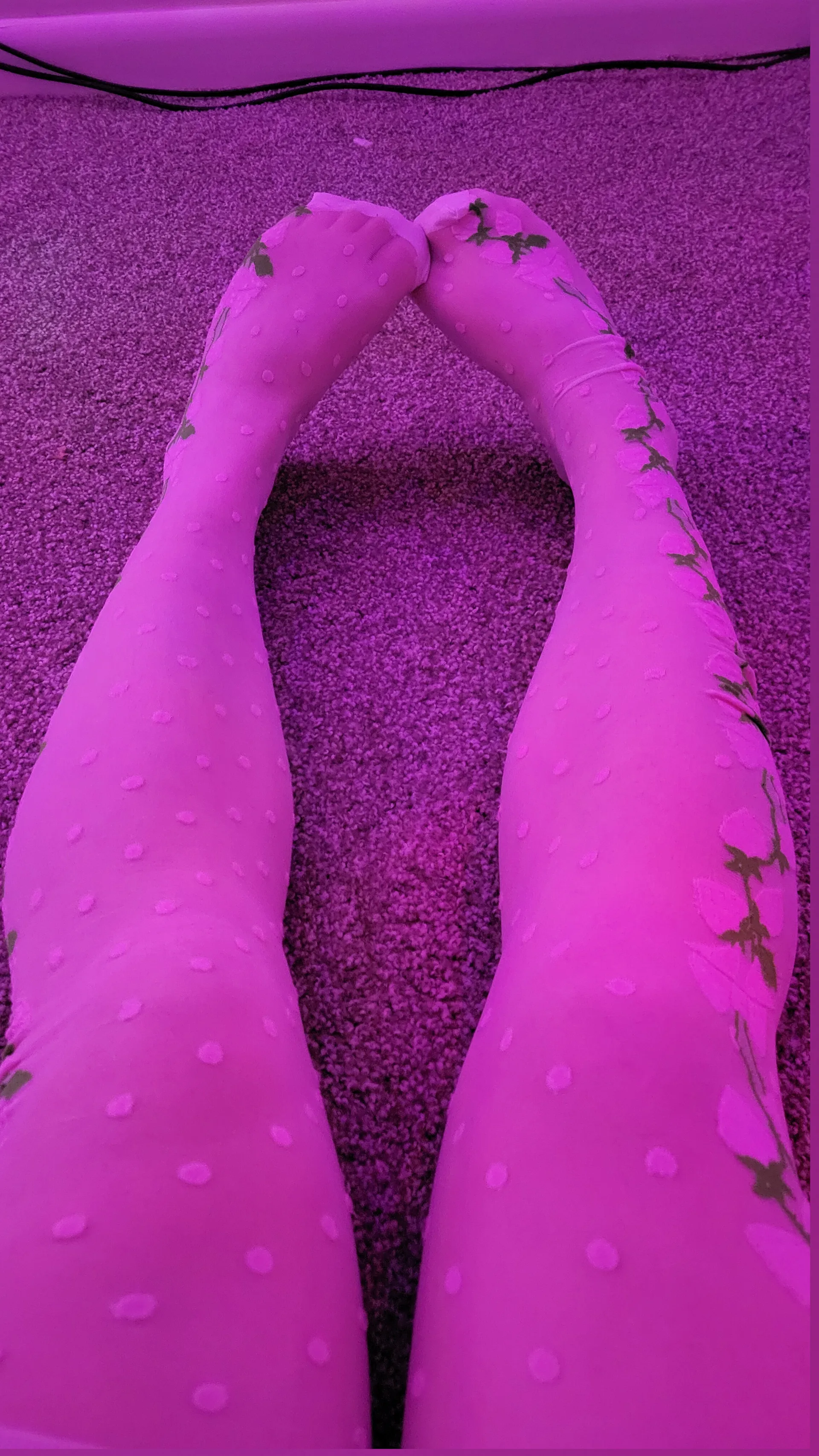 bimbus OnlyFans header