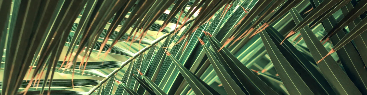 Barbara OnlyFans header