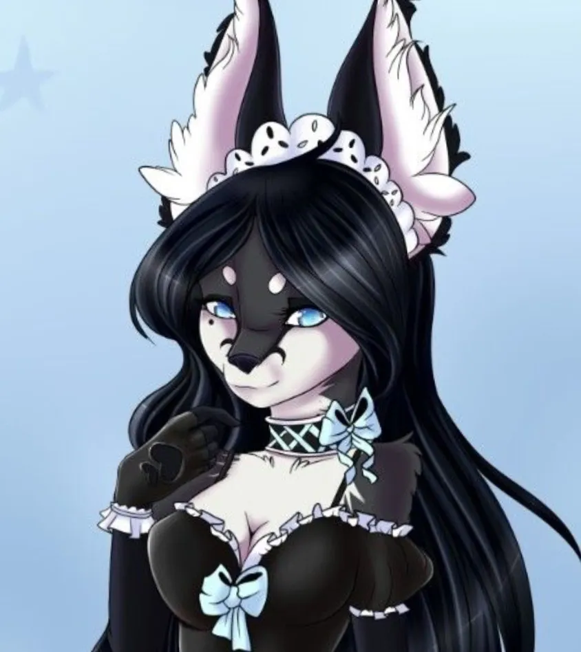 BingoTheWolf OnlyFans header