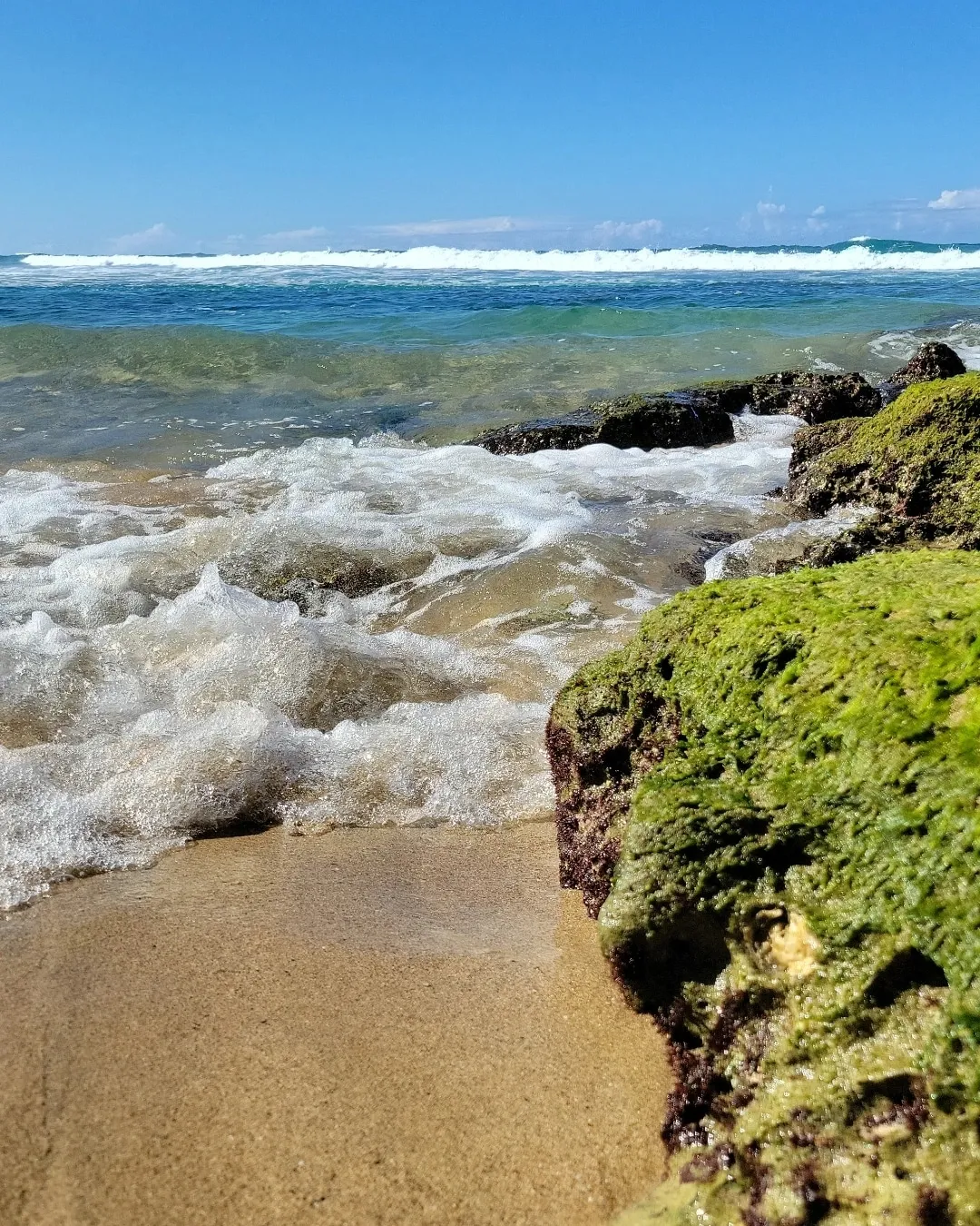 Binikini 🌼 OnlyFans header