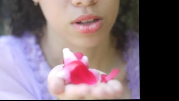 🦋Eternally Divine Toybox Nation🦨