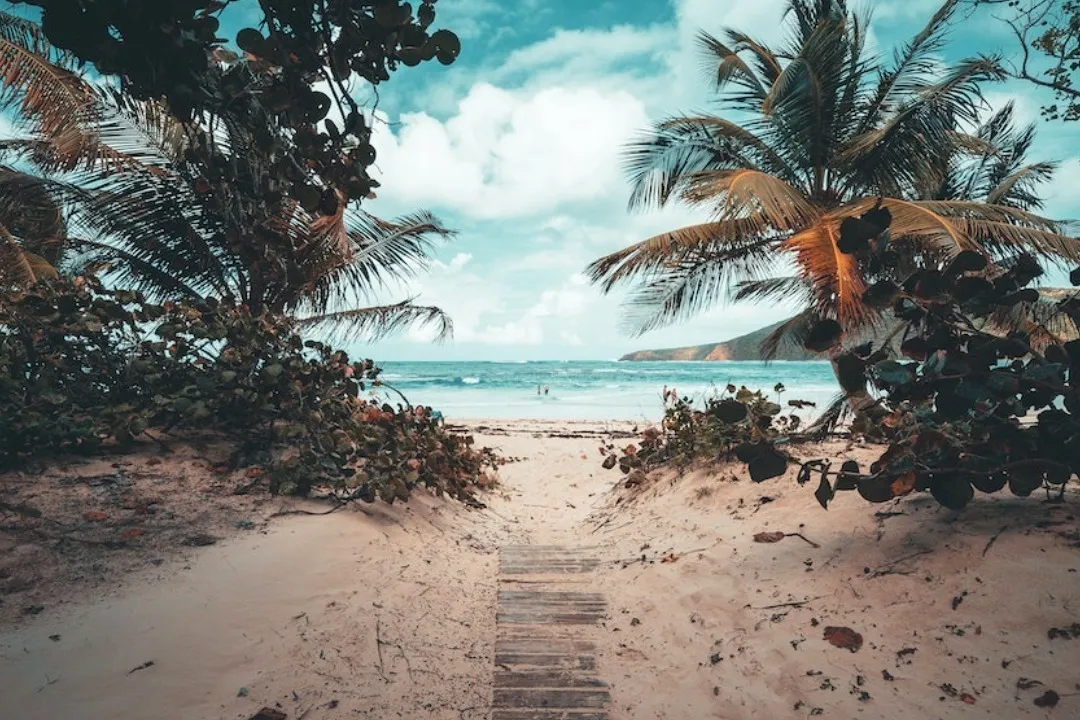 Binkyy OnlyFans header