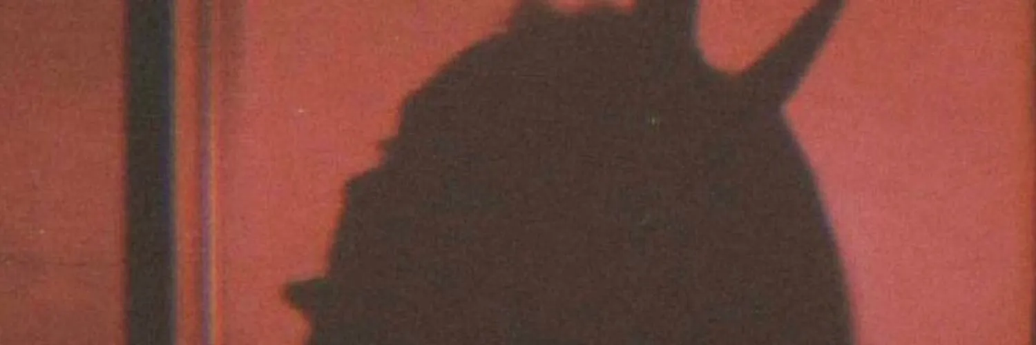 Binnamonlee OnlyFans header