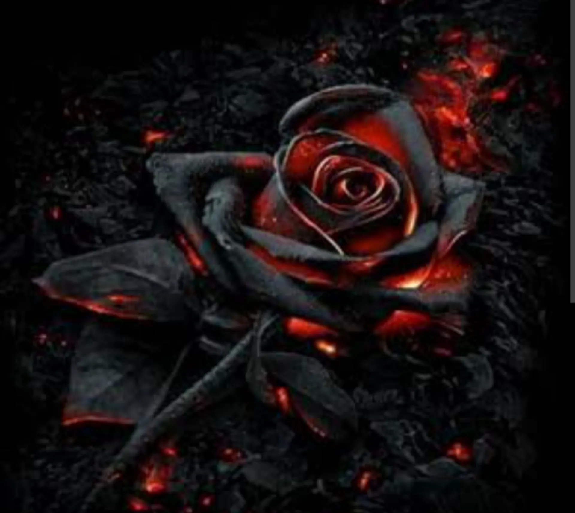 Bionda OnlyFans header