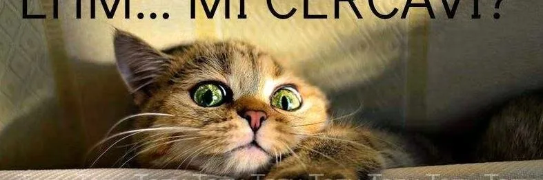 Ronny OnlyFans header