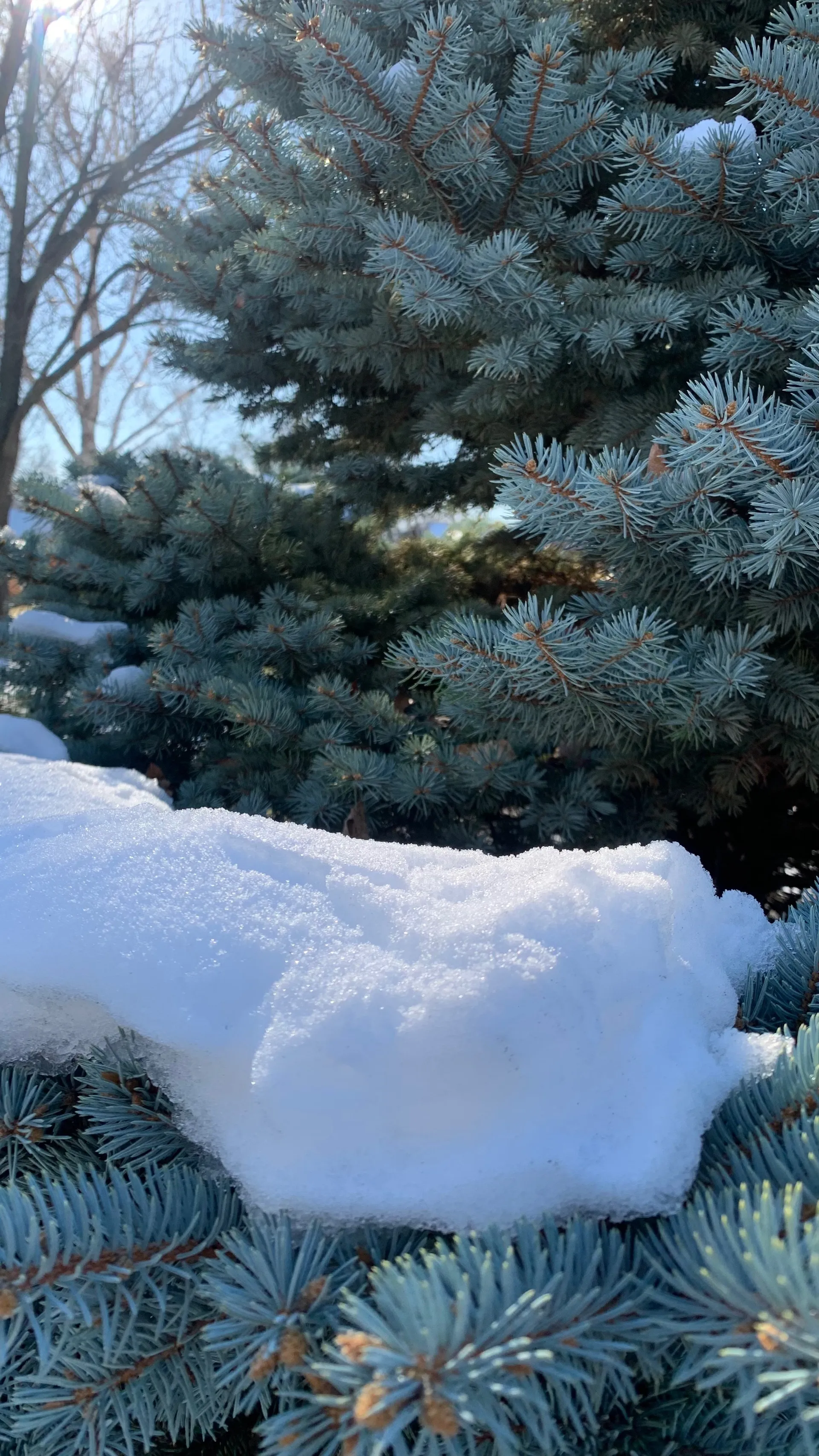 Steve Awesome Productions OnlyFans header