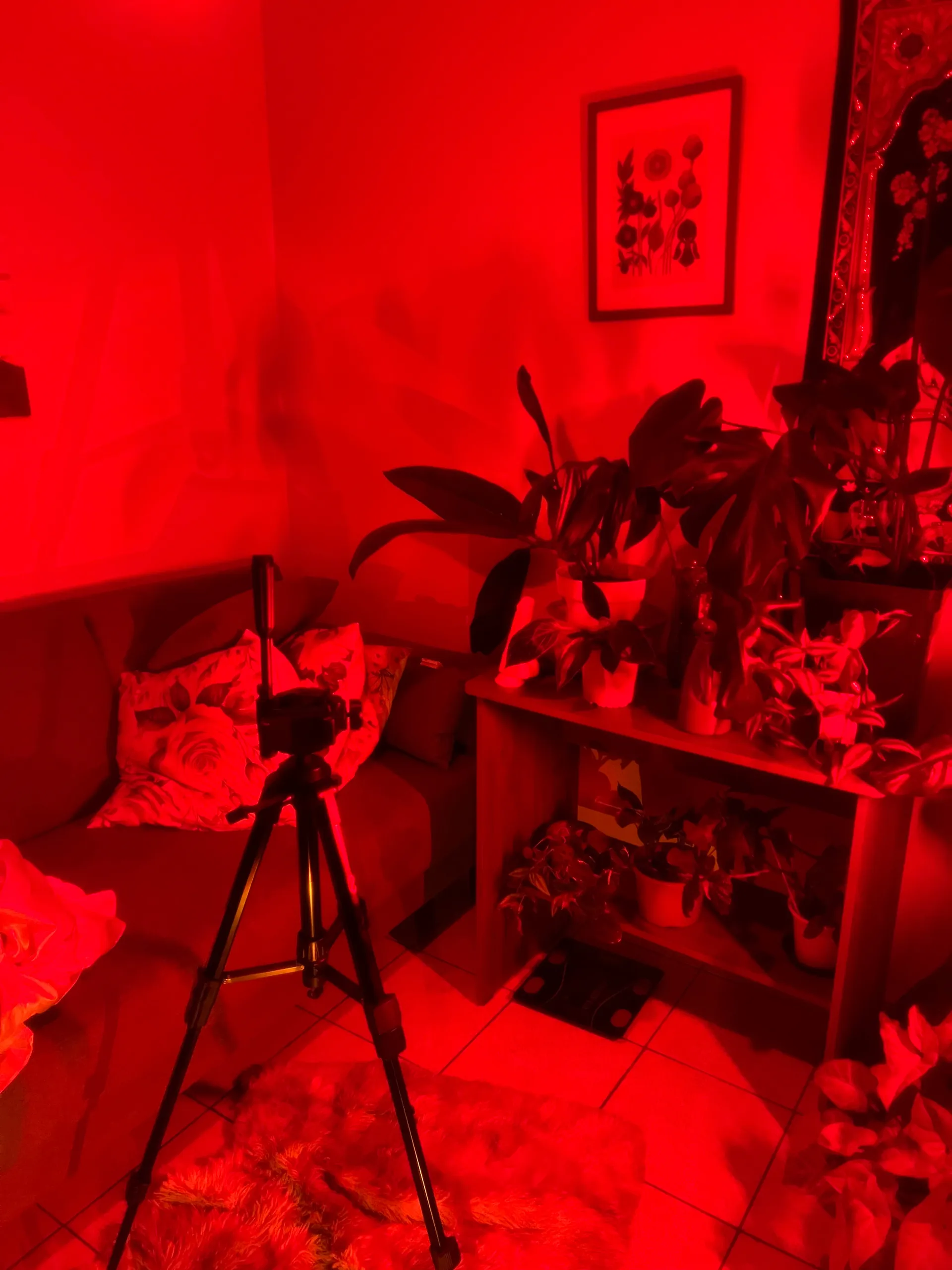 𝕭𝖎𝖔𝖕𝖍𝖎𝖑𝖎𝖈𝖆 OnlyFans header